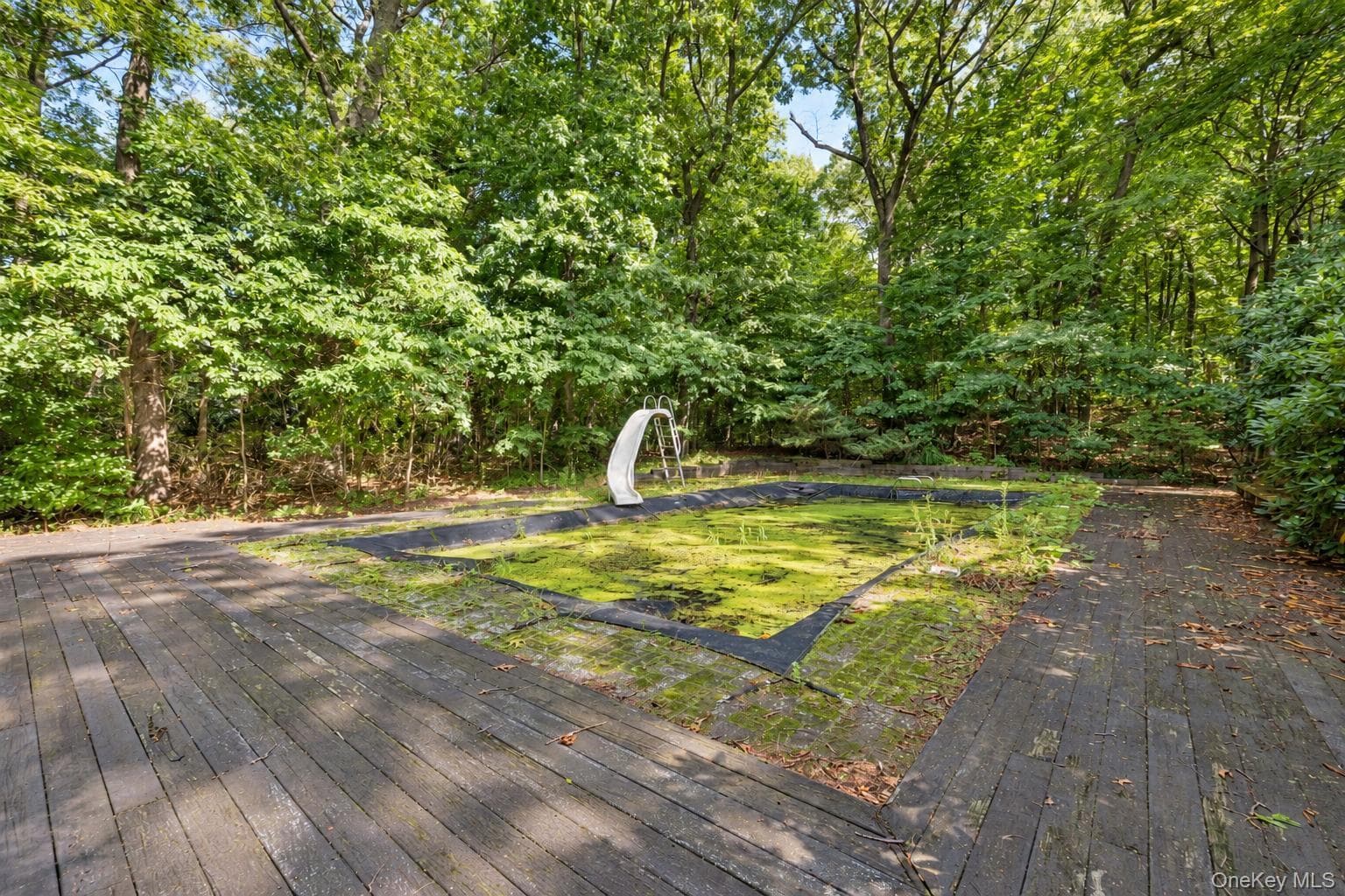 80 Alpine Way thumbnail 7