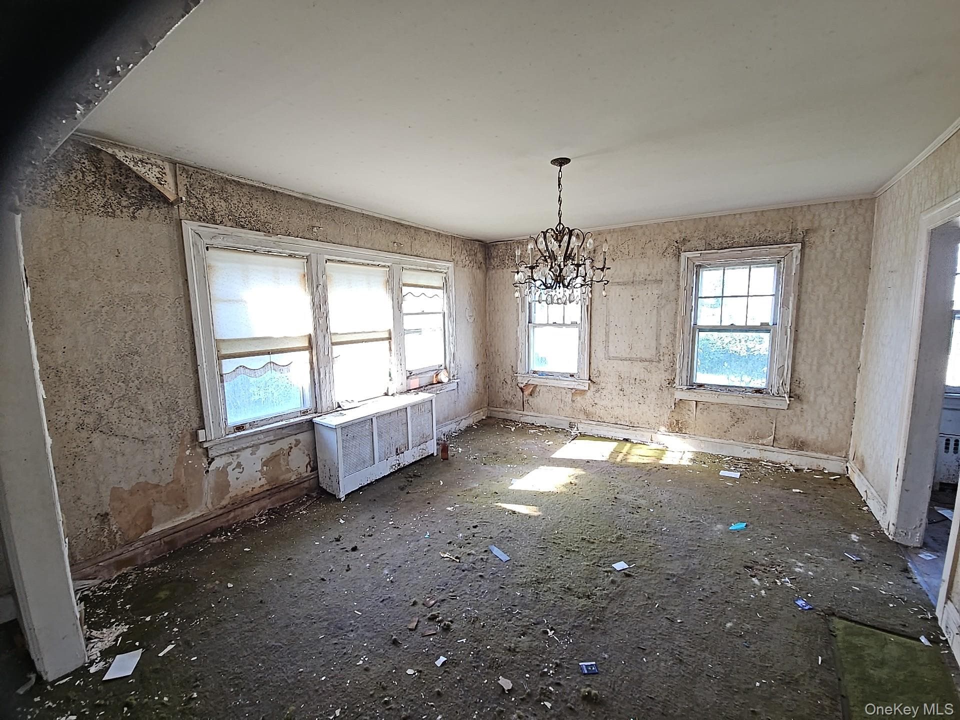 29 Marshall Road thumbnail 8