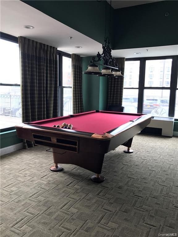 100 New Roc City Place Unit: 204 thumbnail 18