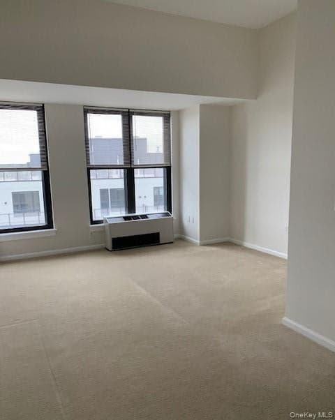 100 New Roc City Place Unit: 204 thumbnail 10