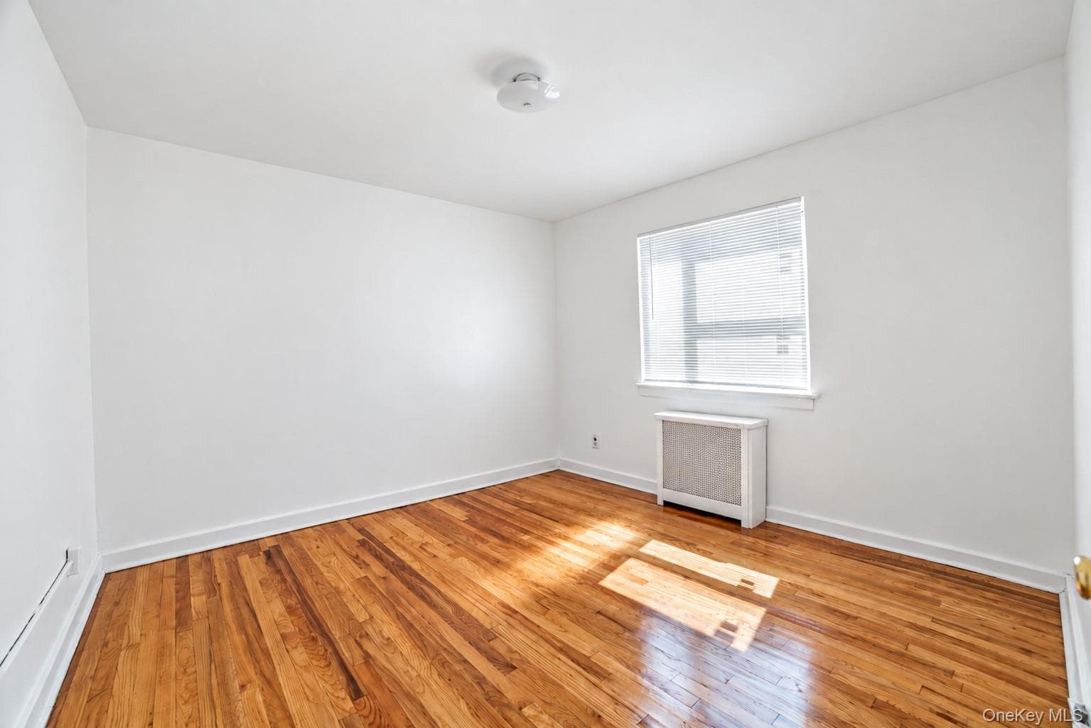 260-13 74th Avenue Unit: 1 thumbnail 9