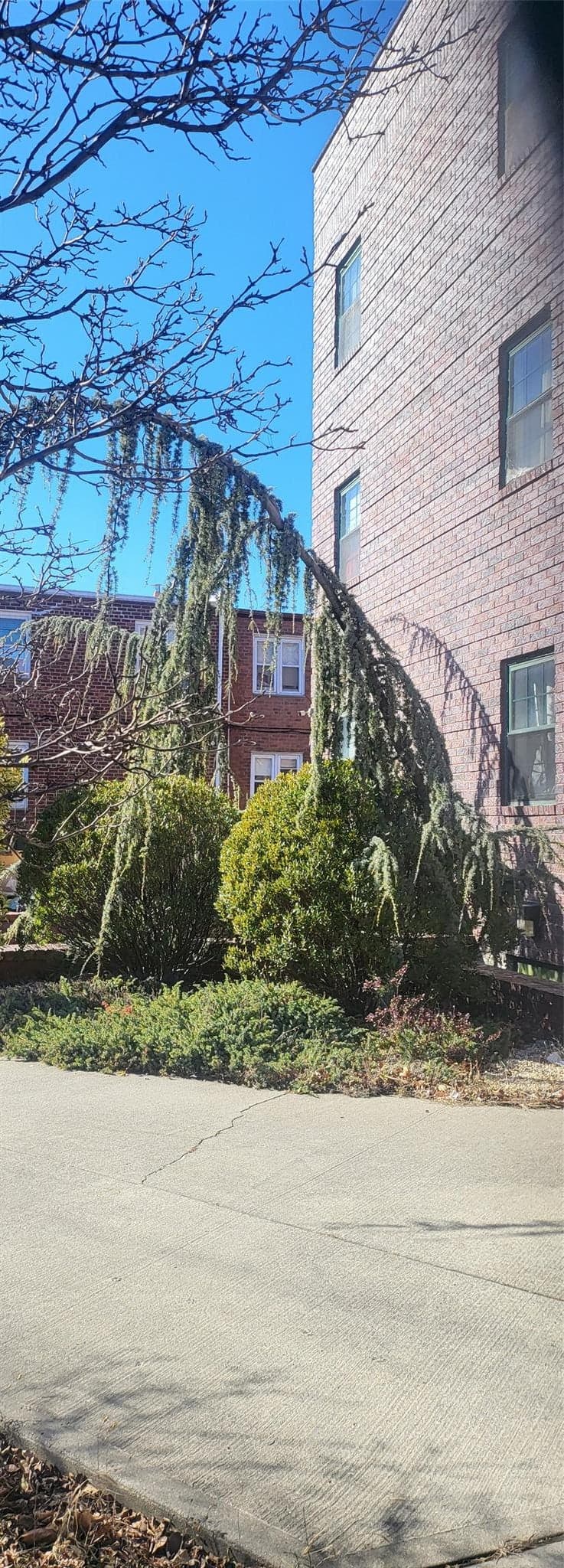 5221 Flatlands Avenue thumbnail 4