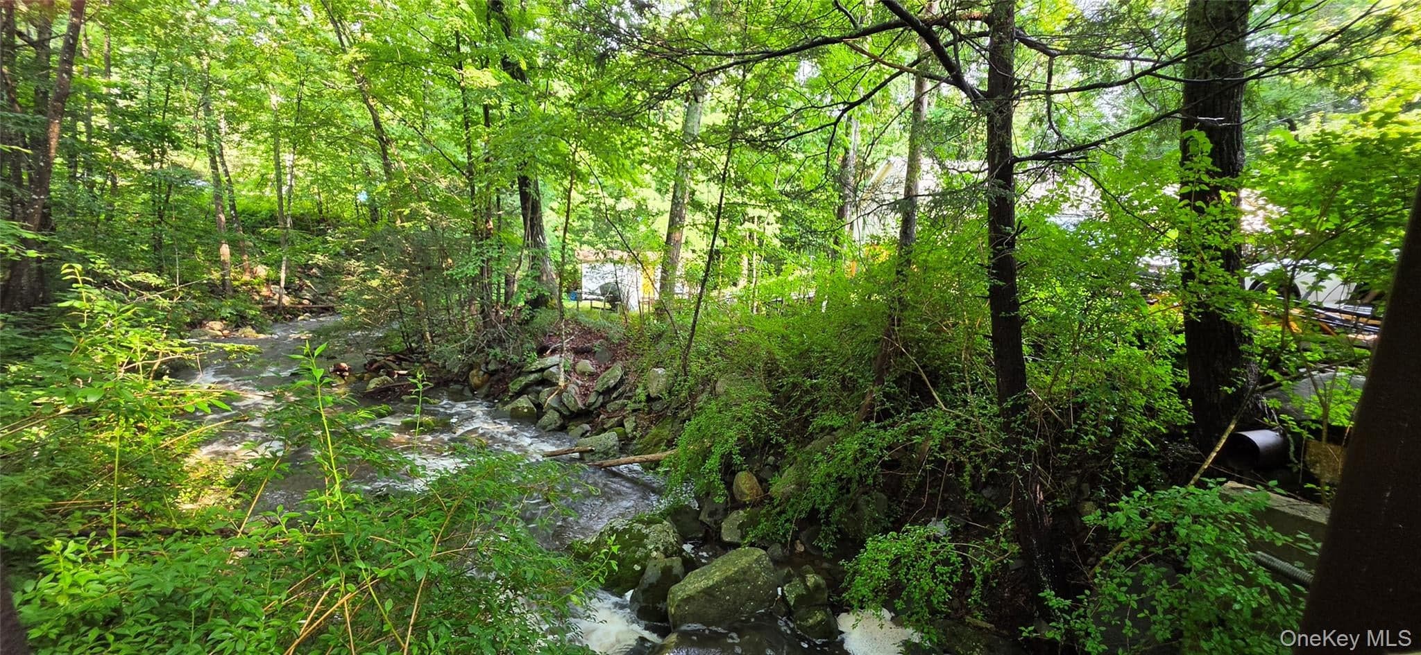 623 Wurtsboro Mtn Road thumbnail 32