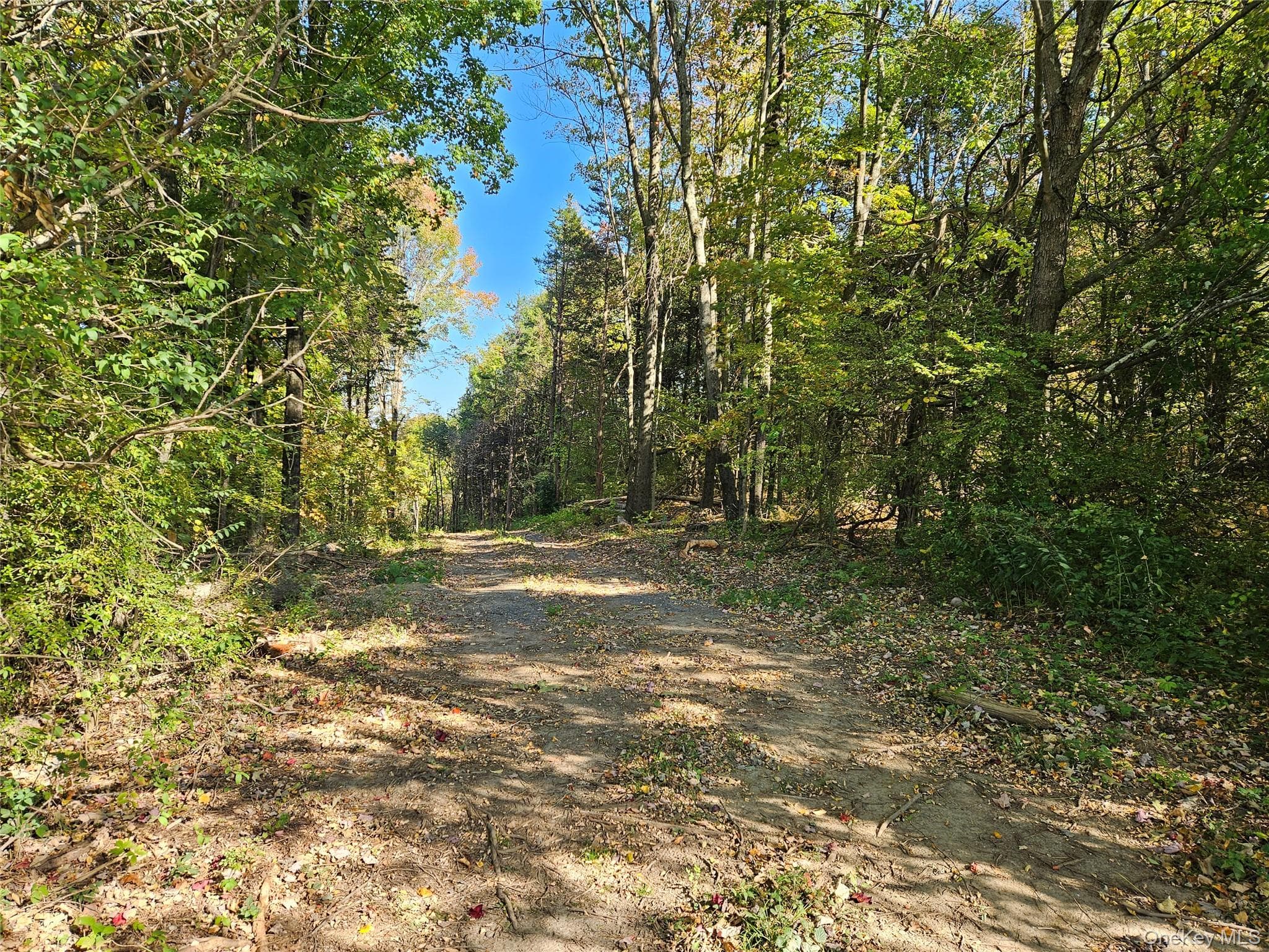 Halls Corners Road thumbnail 3
