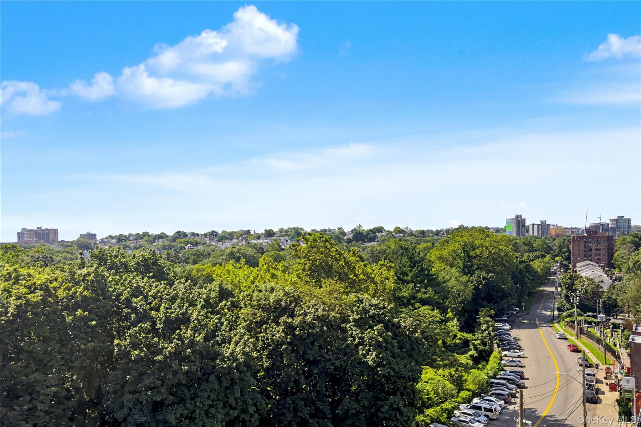 671 Bronx River Road Unit: 6k thumbnail 19