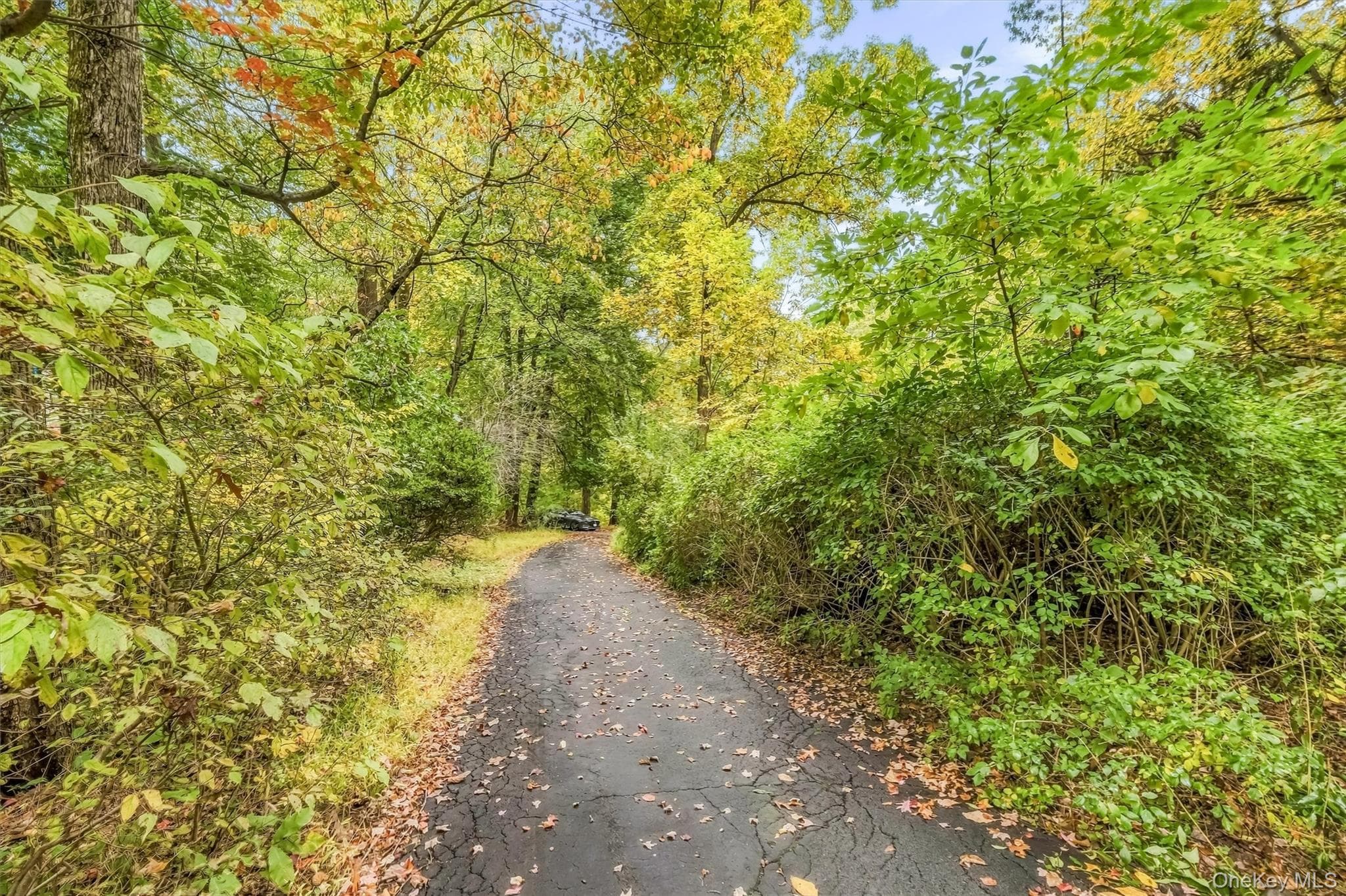19 Dream Lake Road thumbnail 29