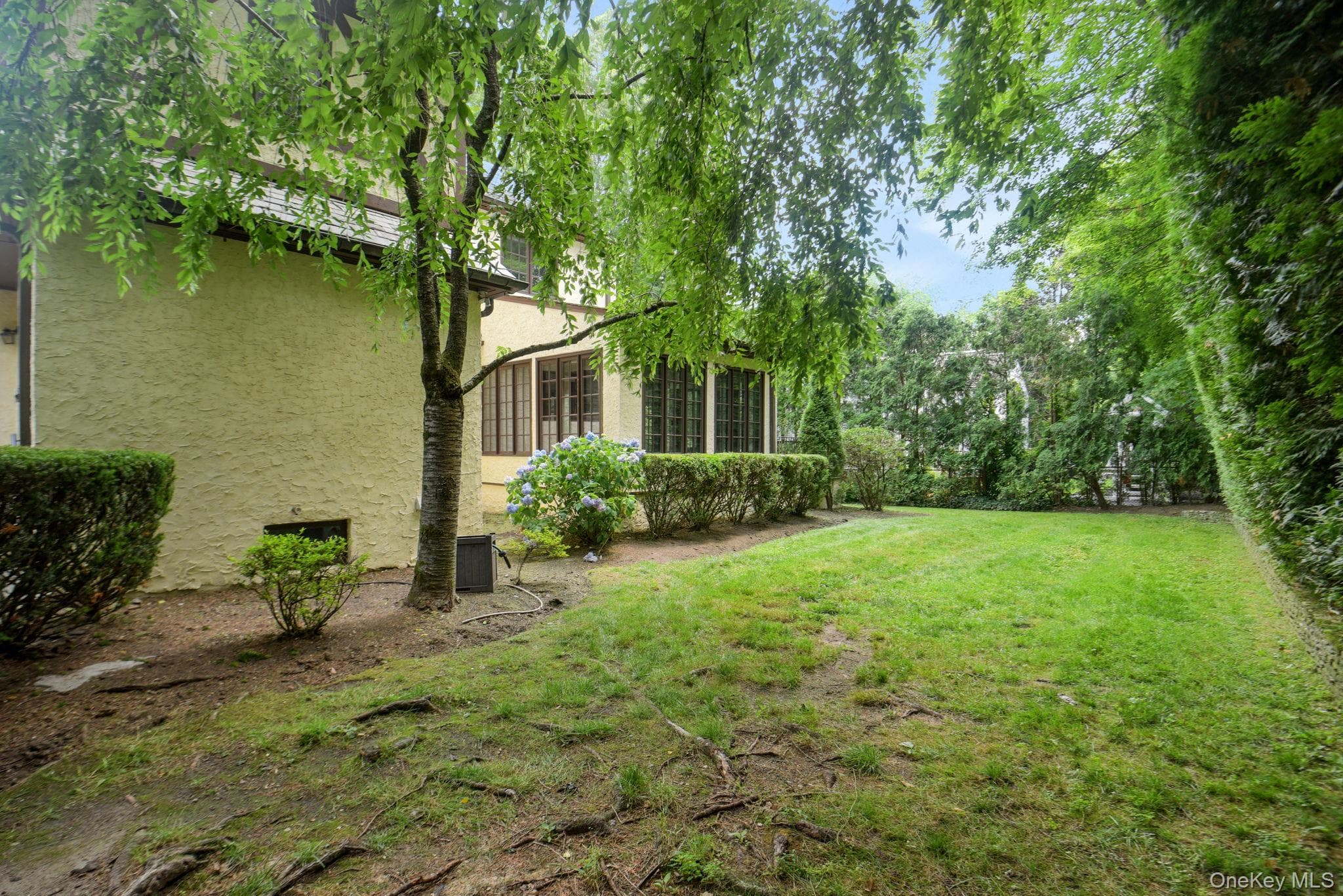 46 Fenimore Road thumbnail 7