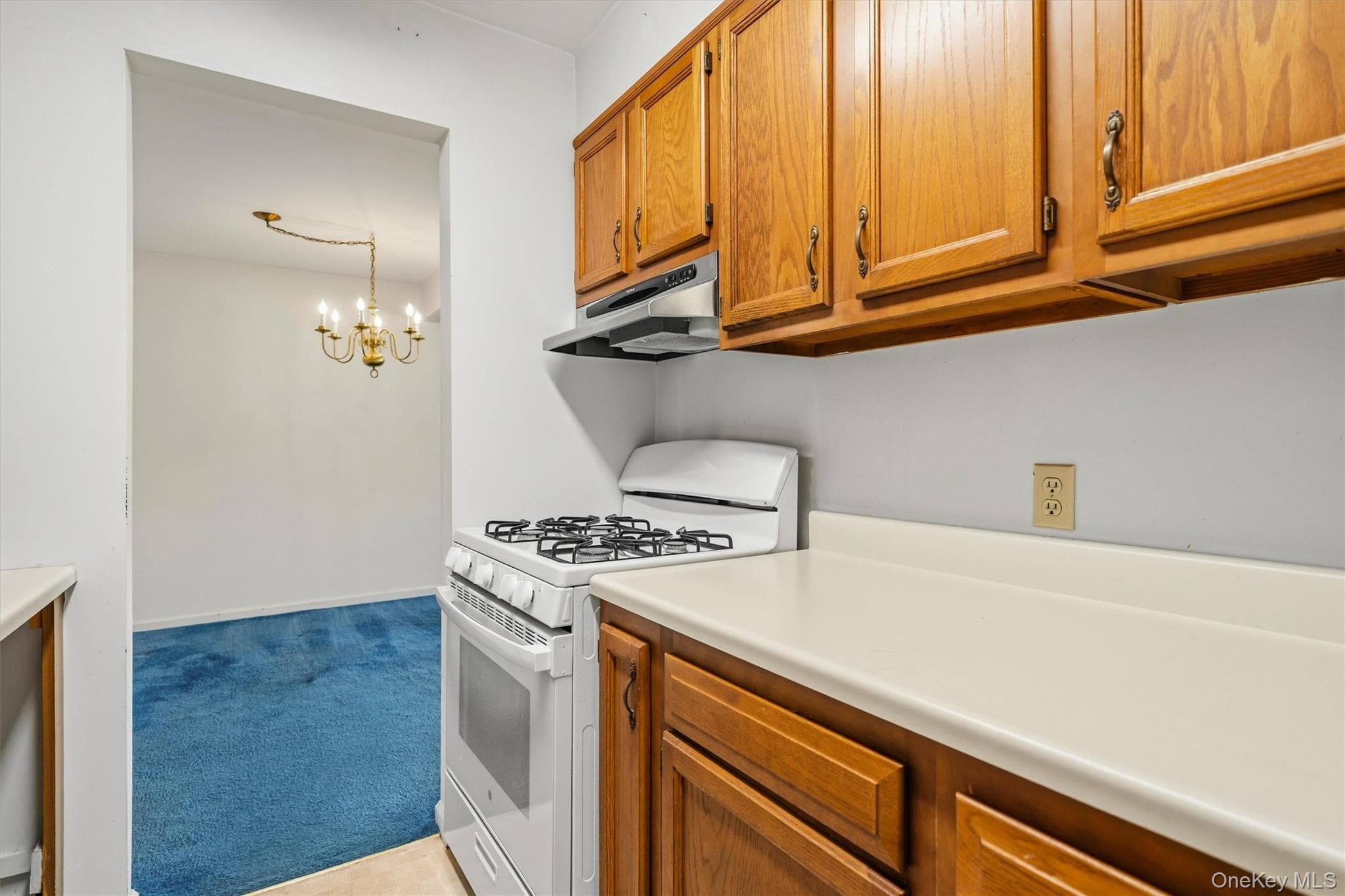 276 Temple Hill Road Unit: 1509 thumbnail 13