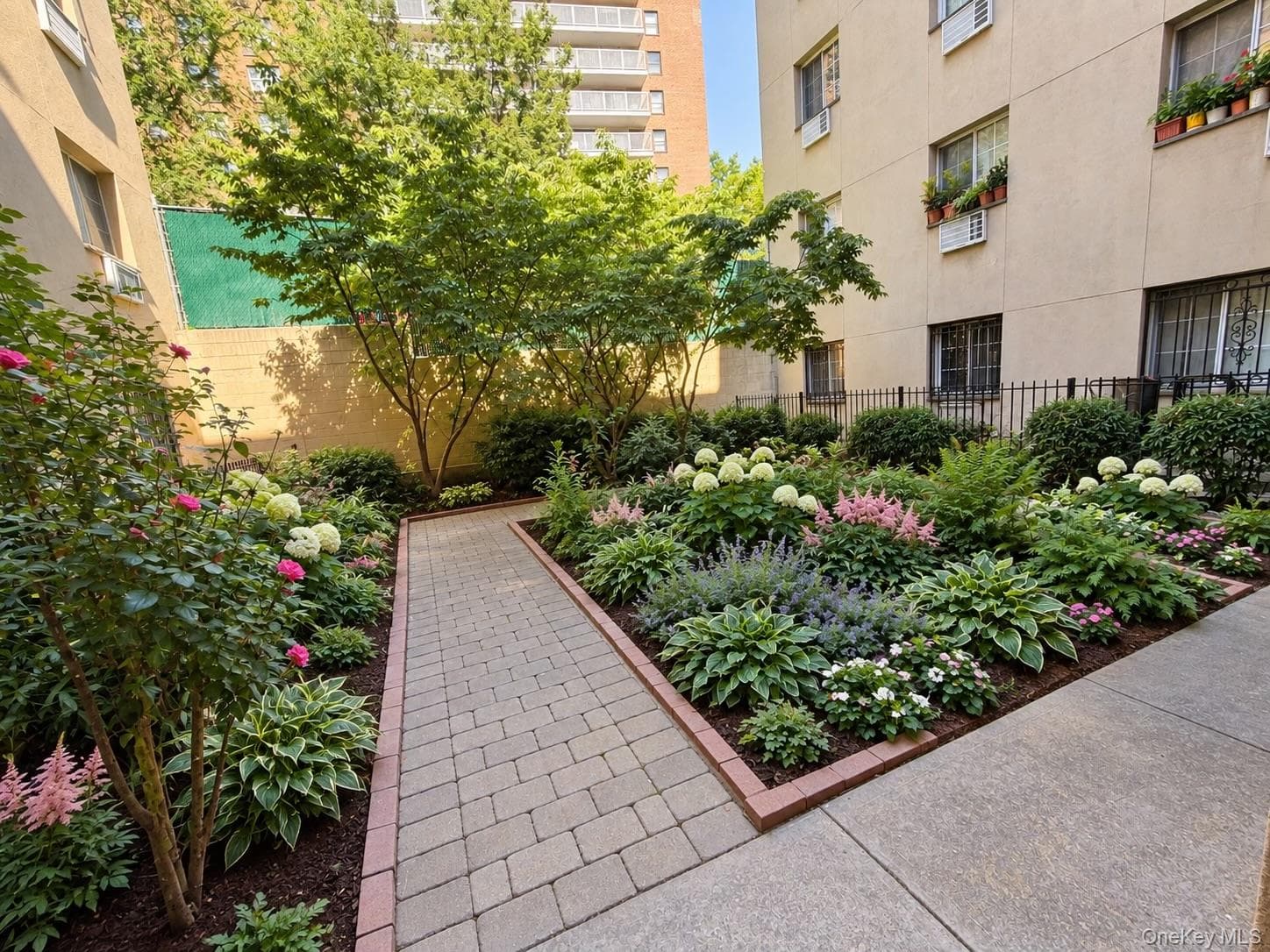 2135 Crotona Avenue Unit: 2B thumbnail 10
