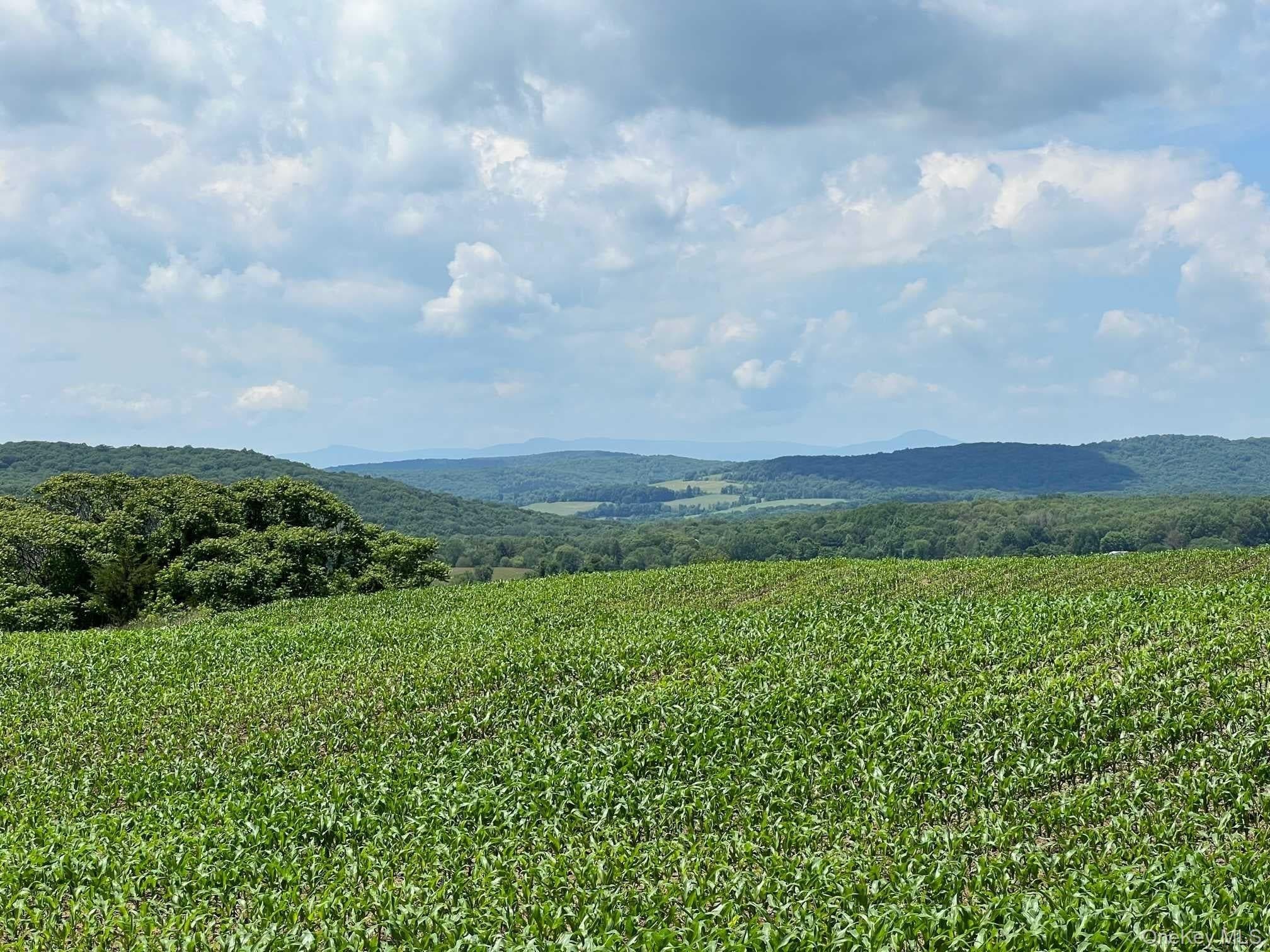 Route 82, Ancramdale