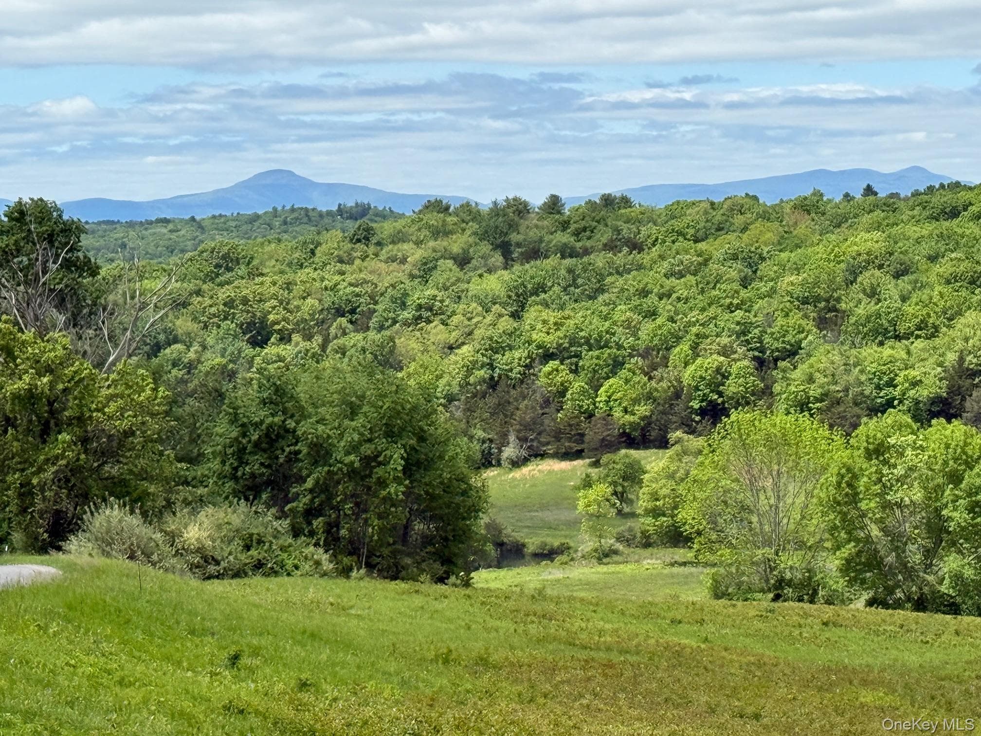 Woodward Hill,stissng Mount, Hicks Hill, Route 199 thumbnail 2