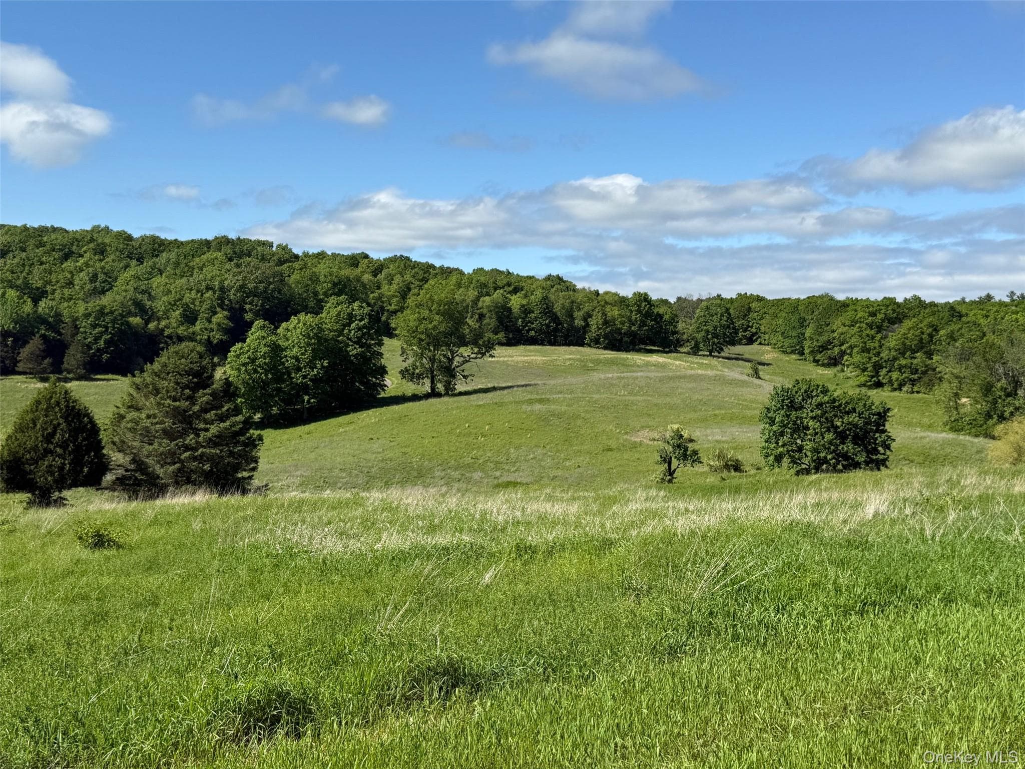 Woodward Hill,stissng Mount, Hicks Hill, Route 199, Pine Plains