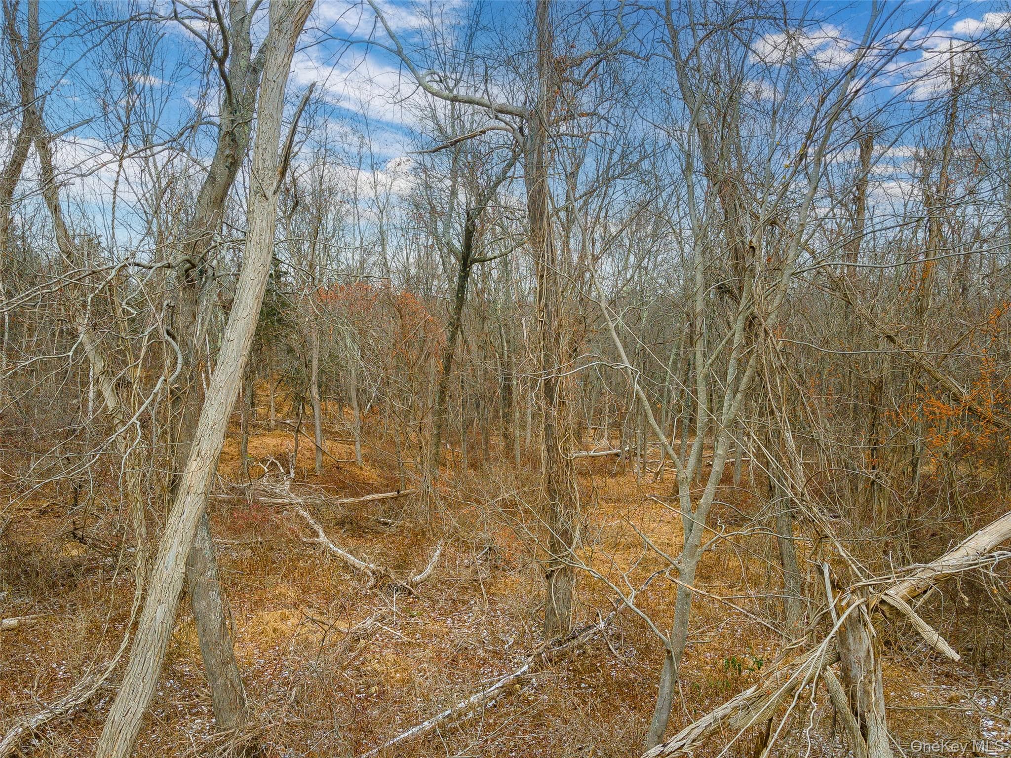 Baker Road thumbnail 8