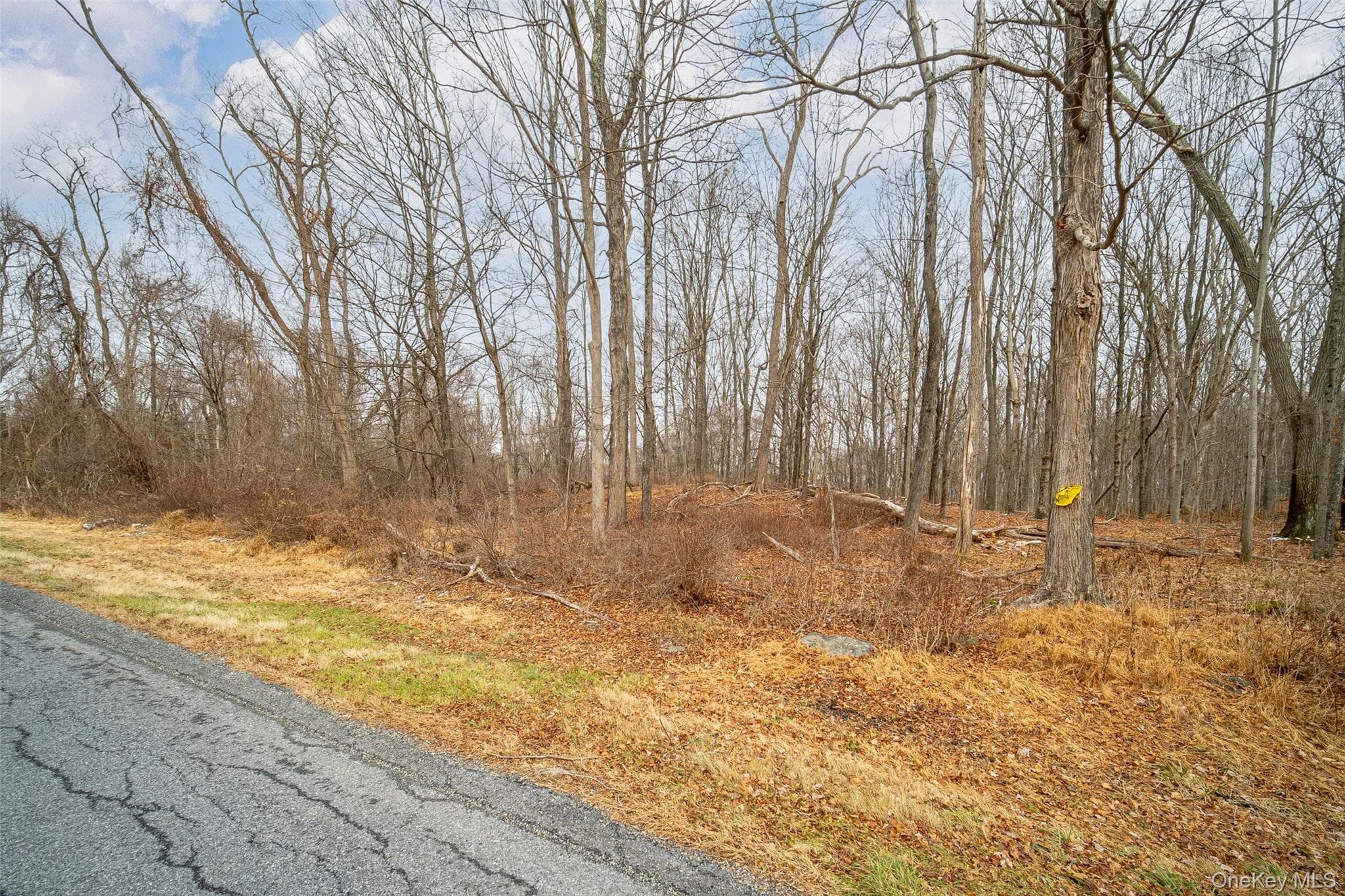Baker Road thumbnail 5