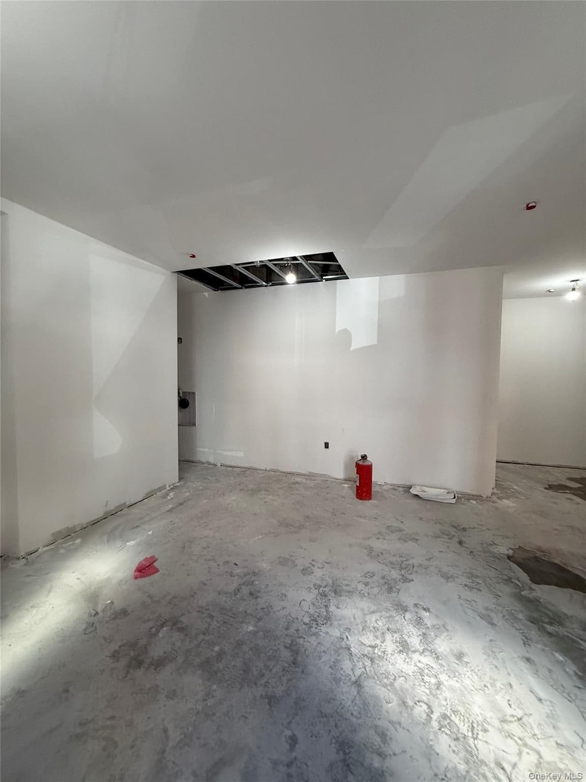 43-20 52nd Street Unit: RS thumbnail 8