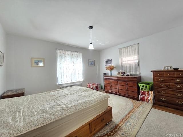 46 Grace Avenue Unit: 2J thumbnail 15