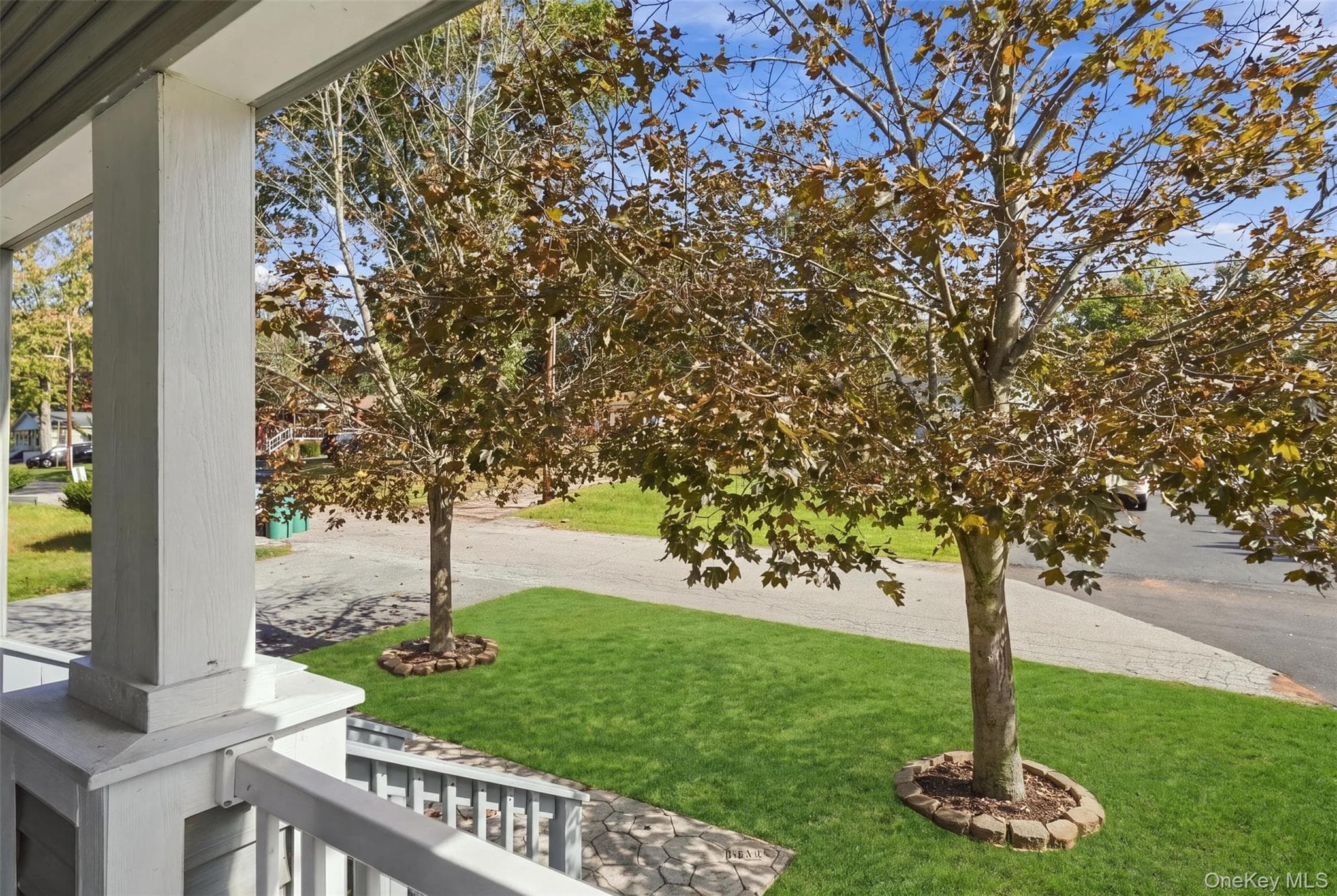26 Bertha Boulevard Blvd thumbnail 4