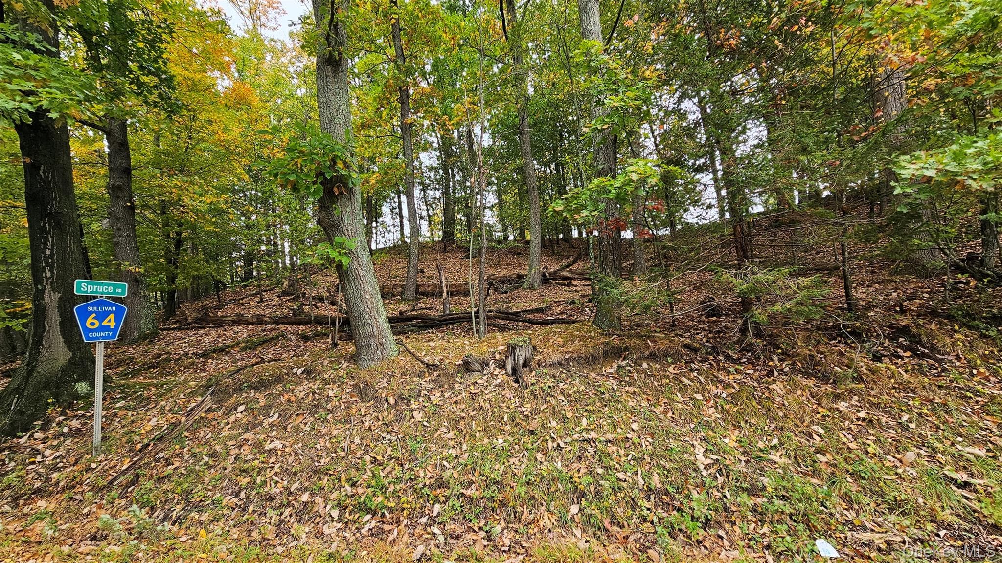 X Spruce Road, Middletown
