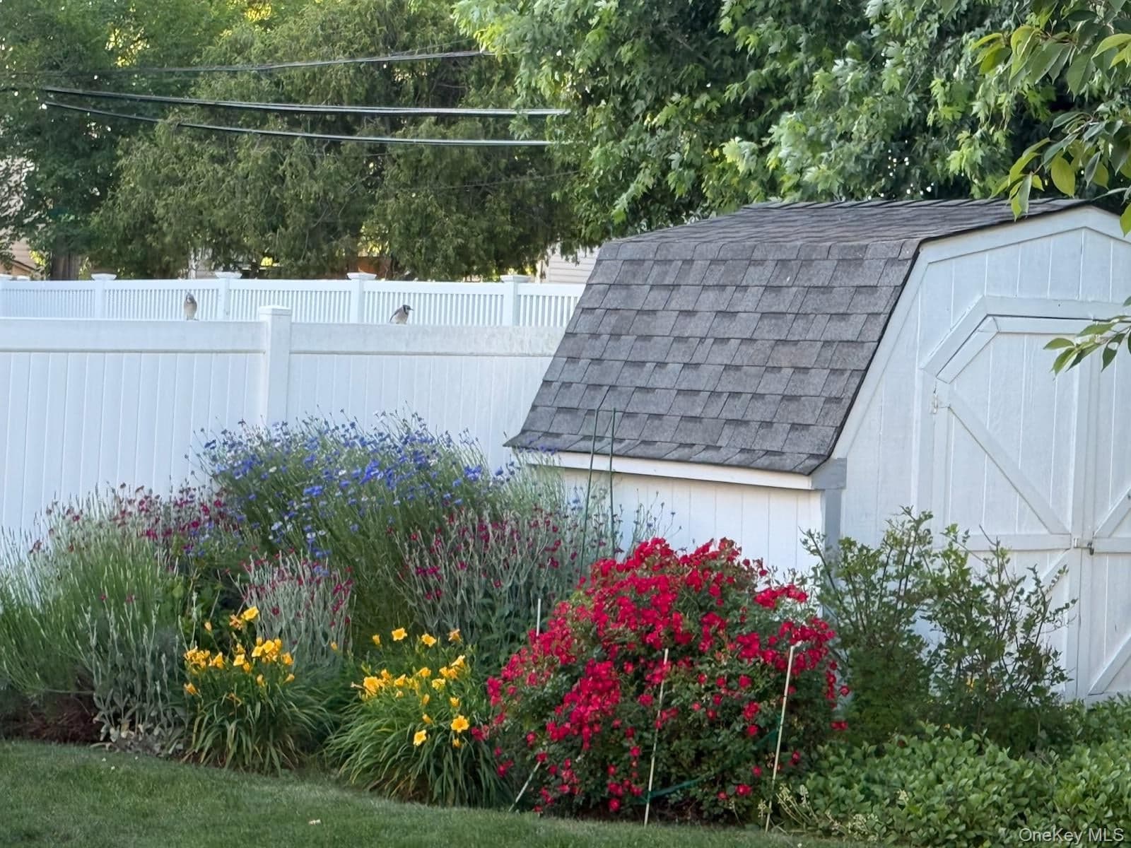 61 Hollyhock Road thumbnail 29