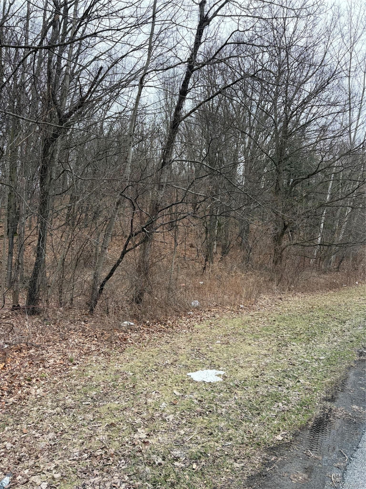 3748 Us Highway 9w thumbnail 9