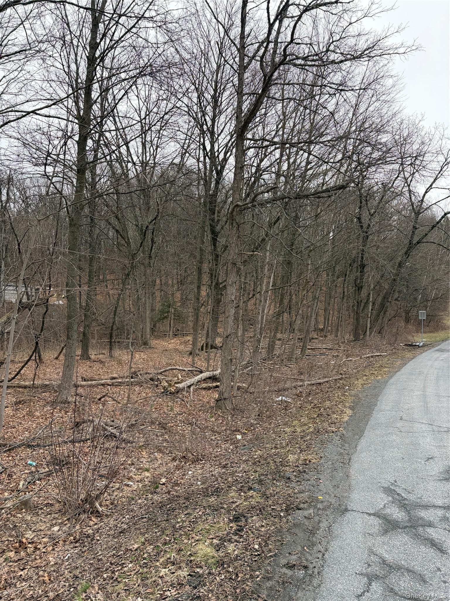 3748 Us Highway 9w thumbnail 6