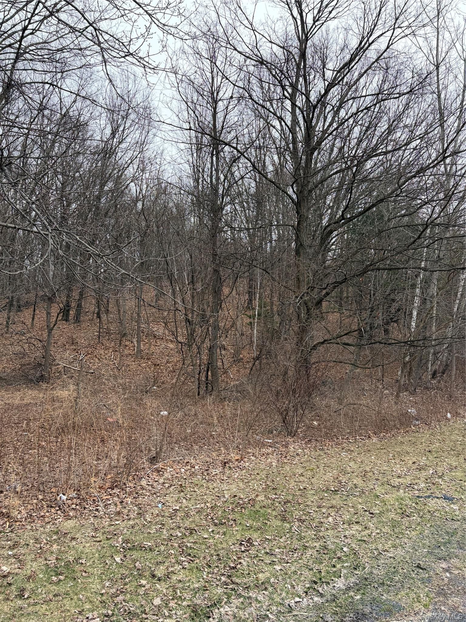 3748 Us Highway 9w thumbnail 4