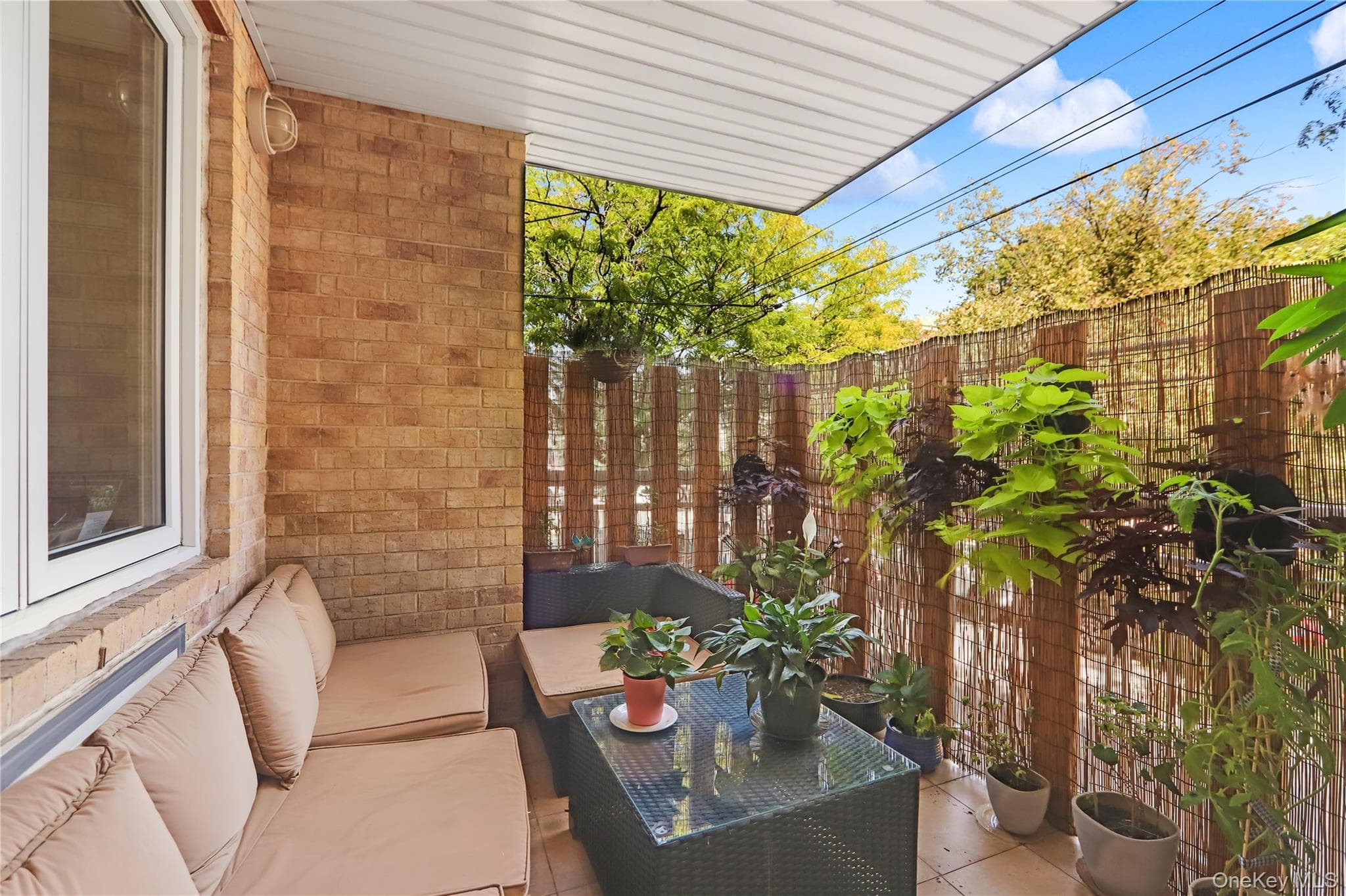 1530 E 15th Street Unit: 2A thumbnail 5
