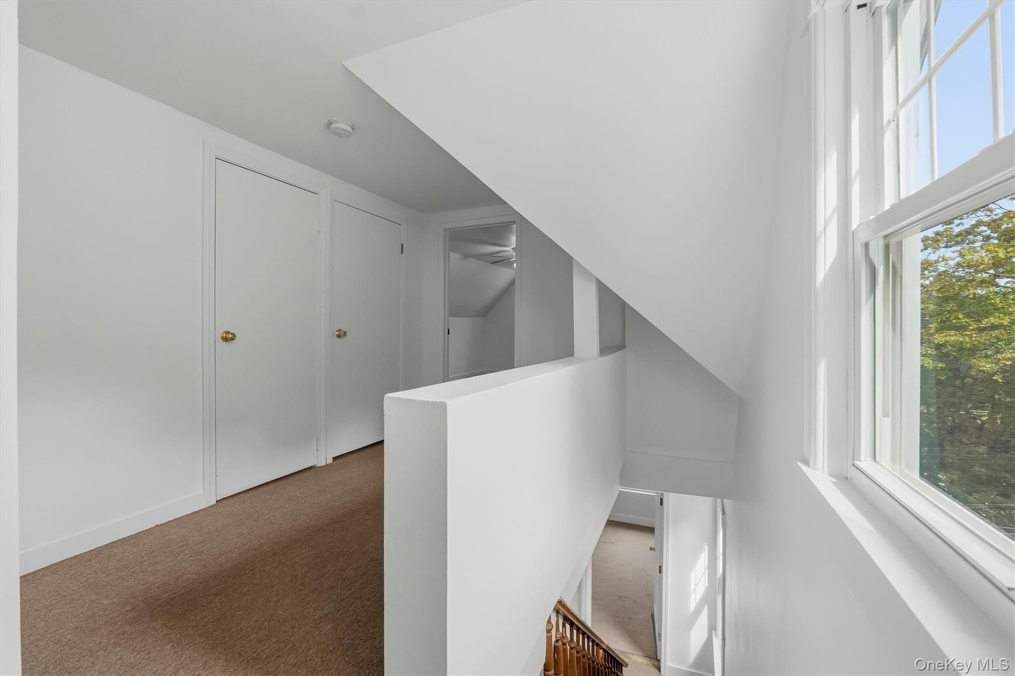 9 Desmond Avenue thumbnail 23