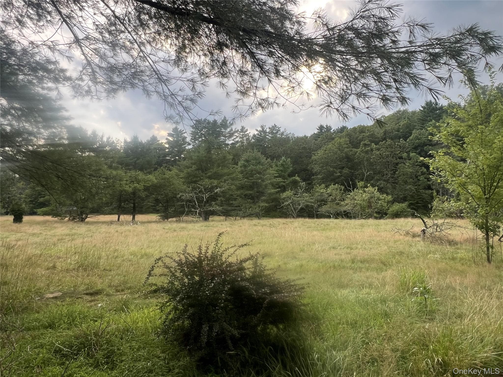 259 Lackawaxen Road thumbnail 9