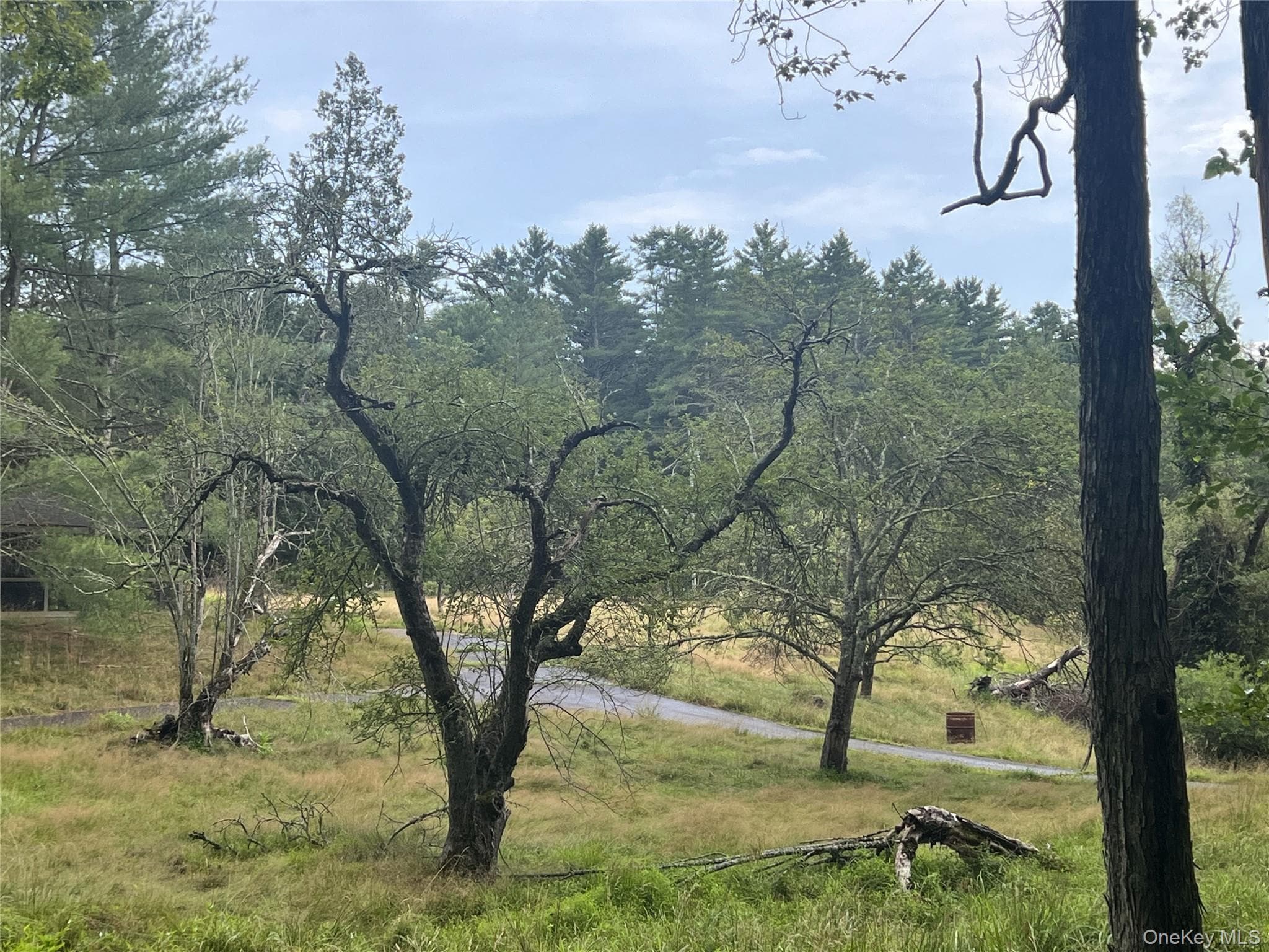 259 Lackawaxen Road thumbnail 17