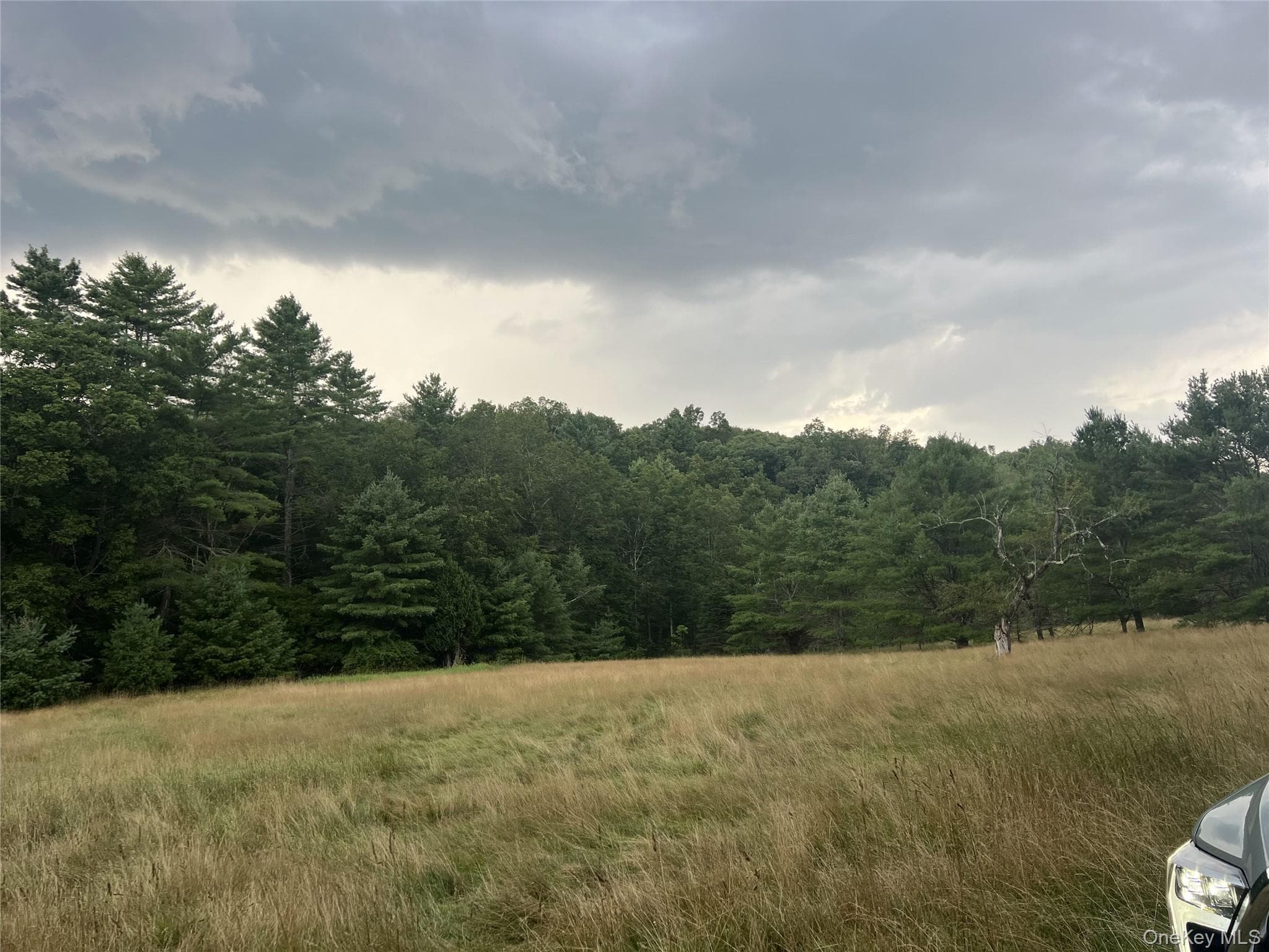 259 Lackawaxen Road thumbnail 10