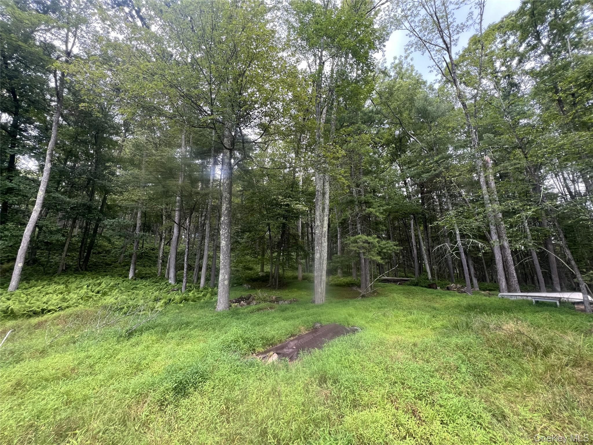259 Lackawaxen Road thumbnail 8