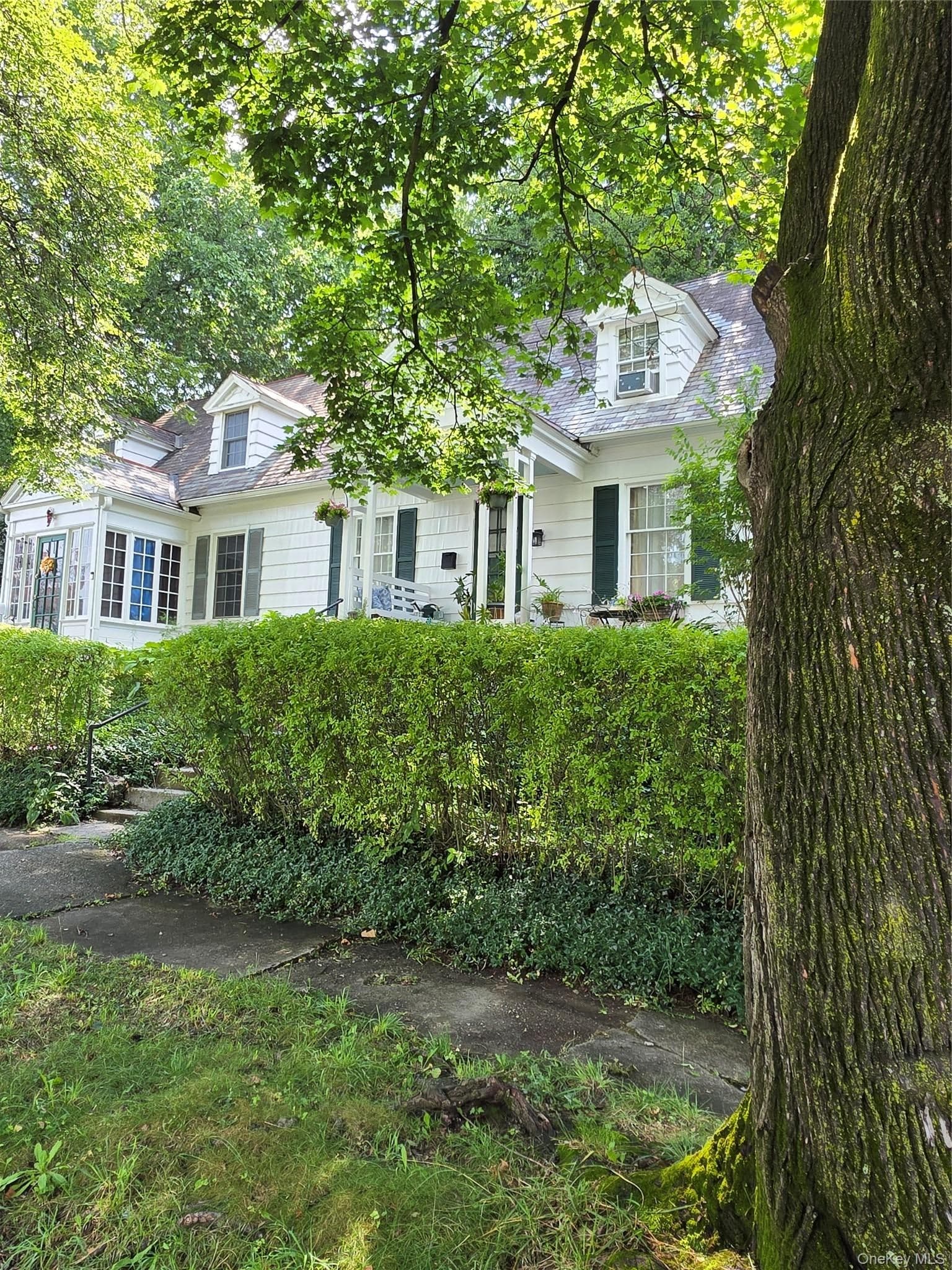 20 Bush Avenue thumbnail 6