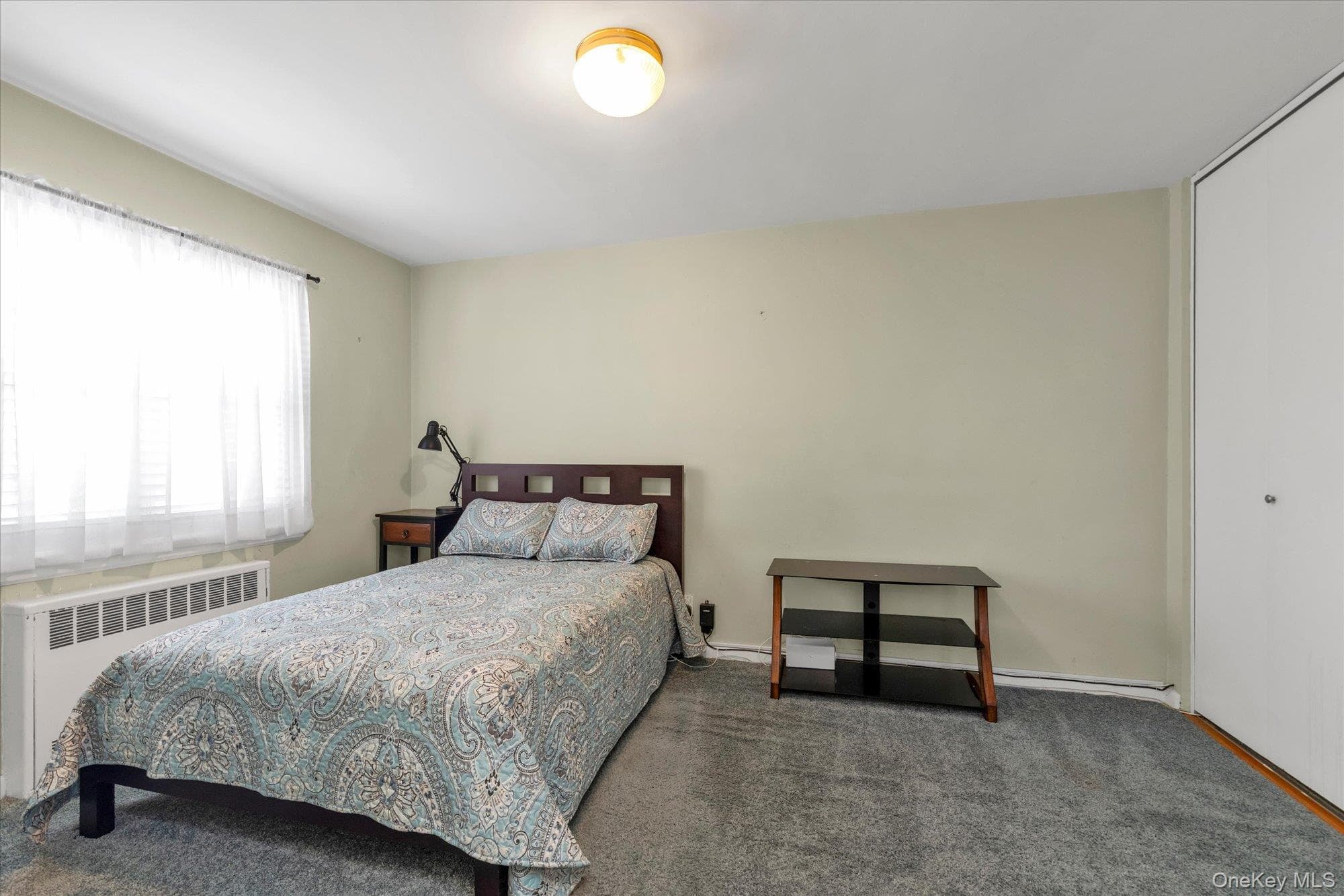 415 Merrick Road RD Unit: 1L thumbnail 9