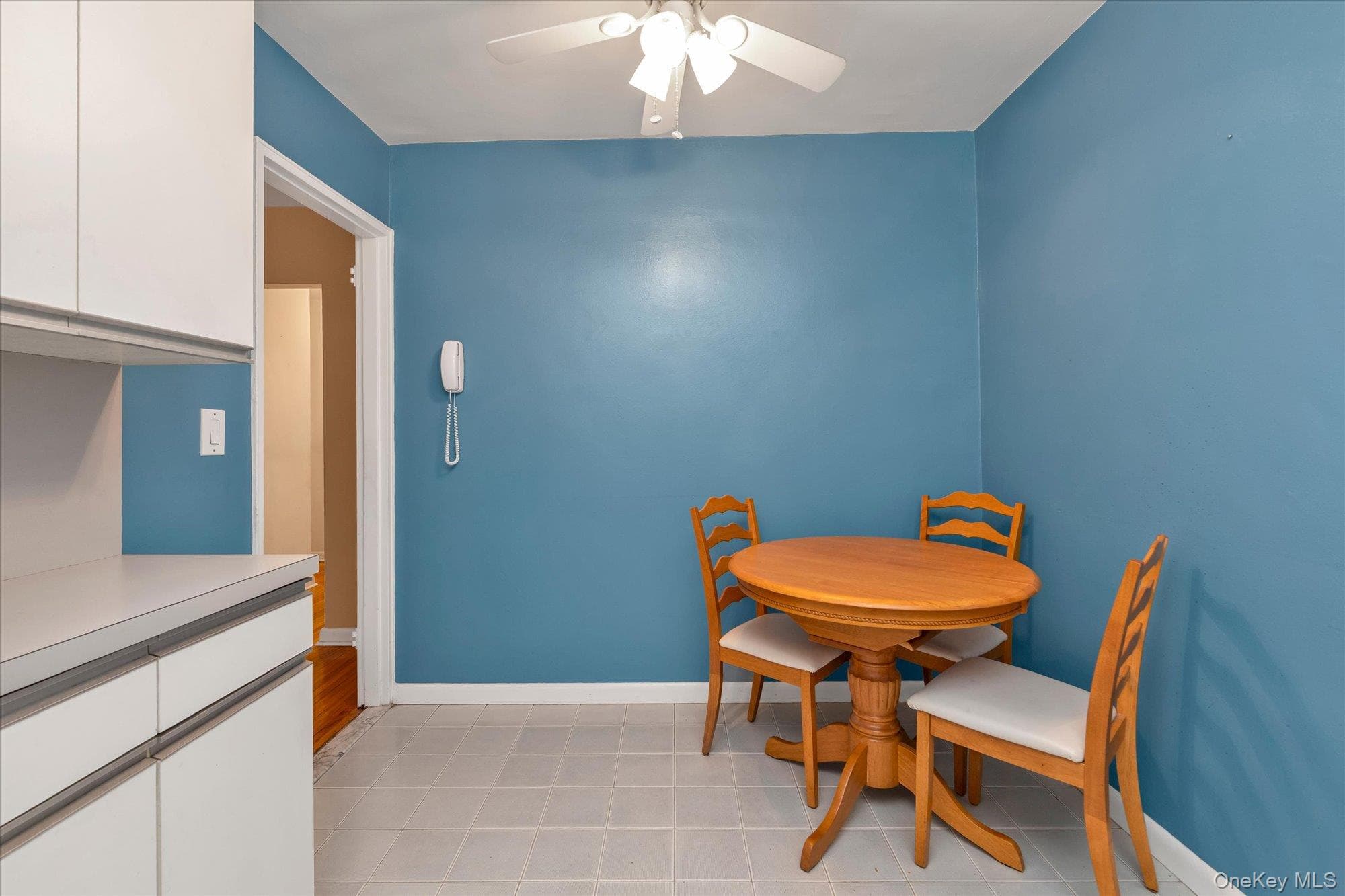 415 Merrick Road RD Unit: 1L thumbnail 8