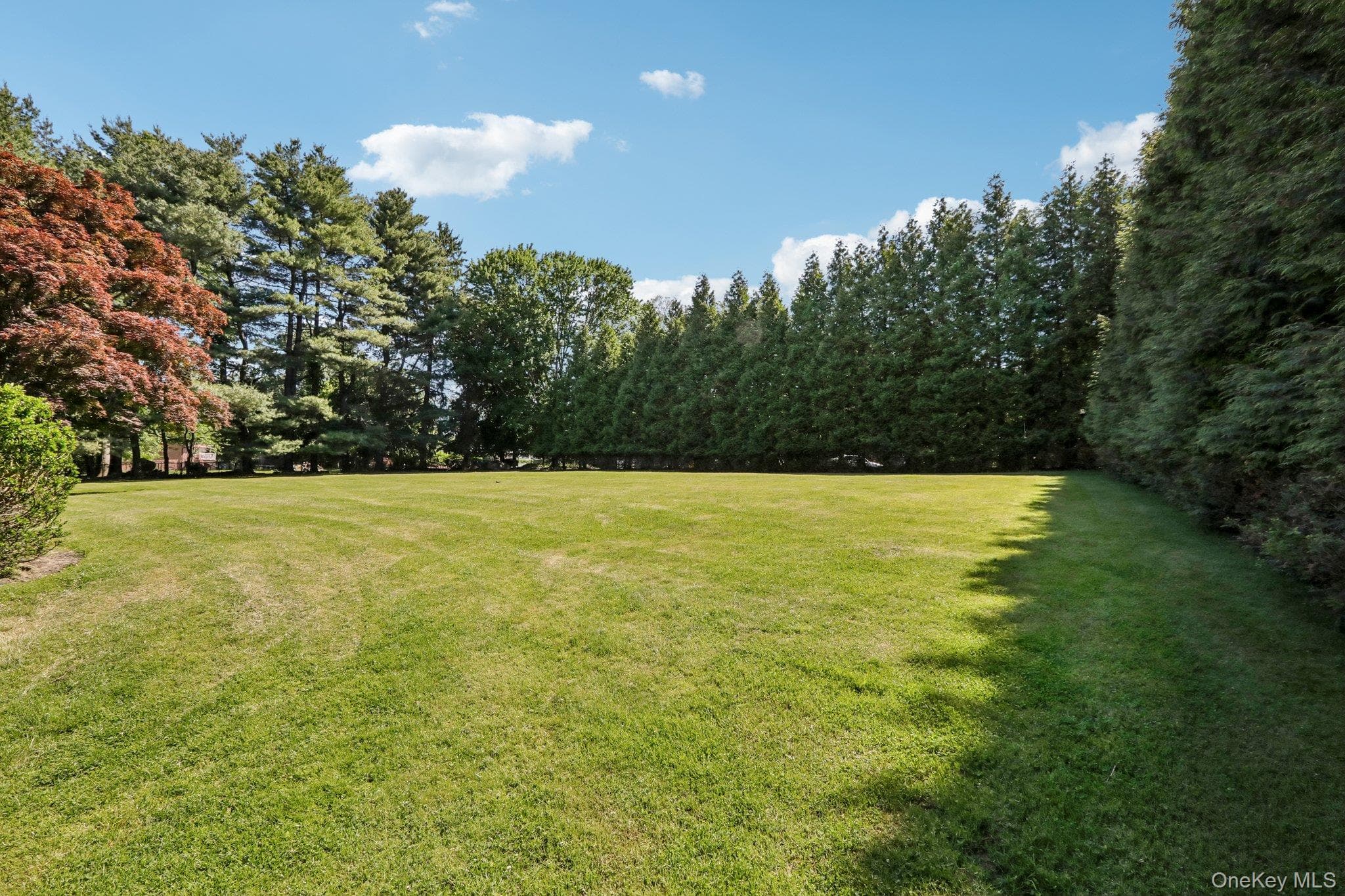 250 Old Mill Road thumbnail 49