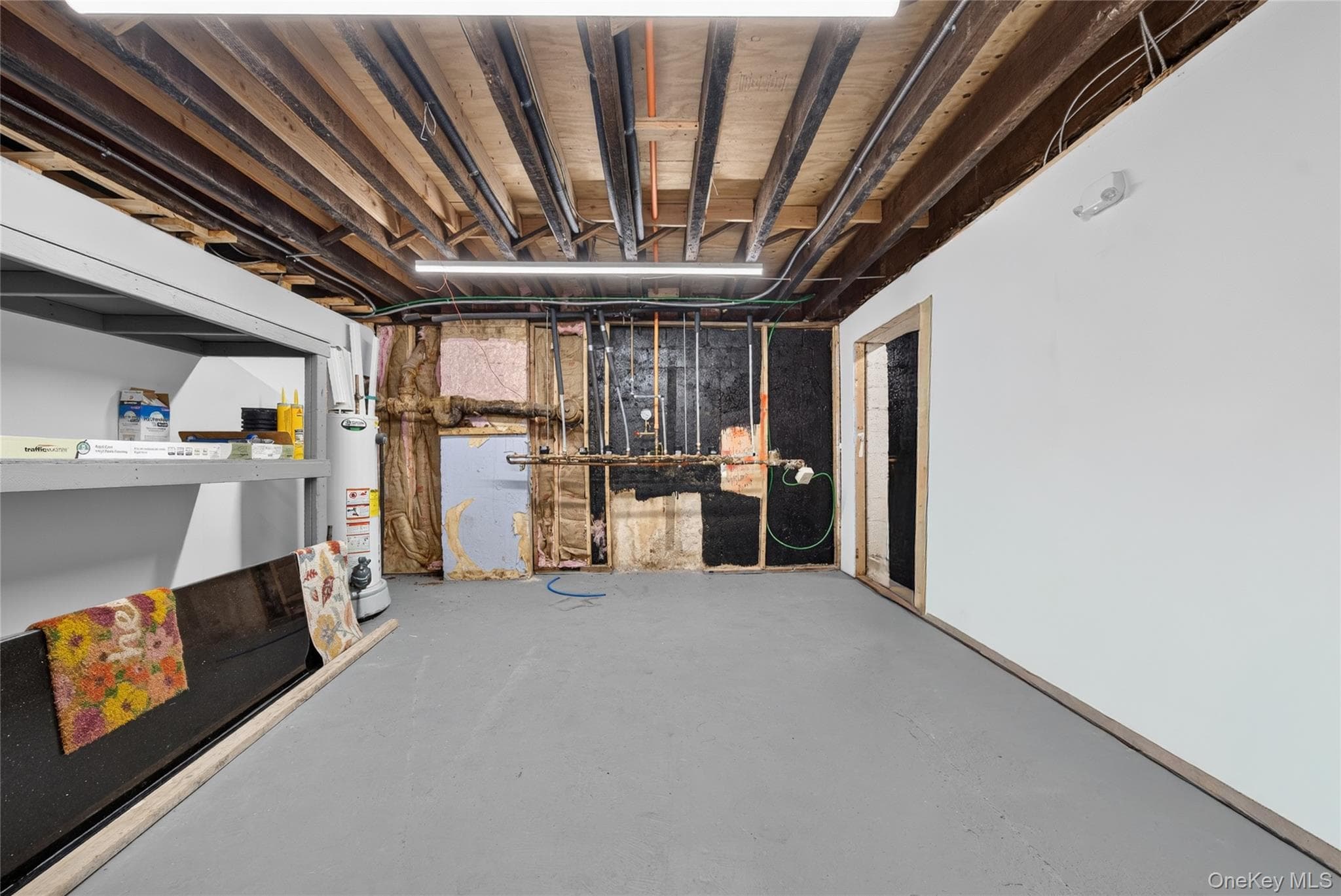281 Clinton Street thumbnail 34