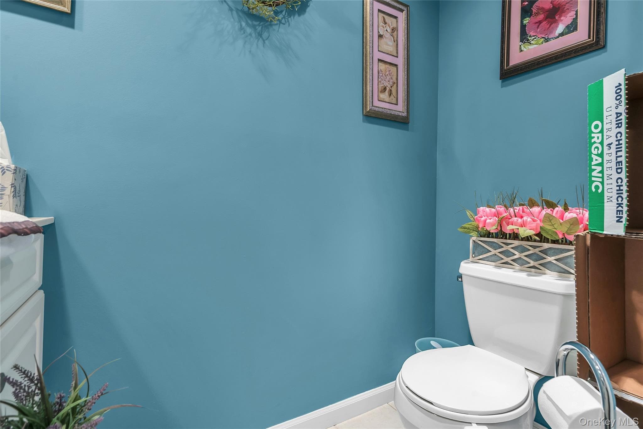 176 Merrick Road Unit: 10 thumbnail 20