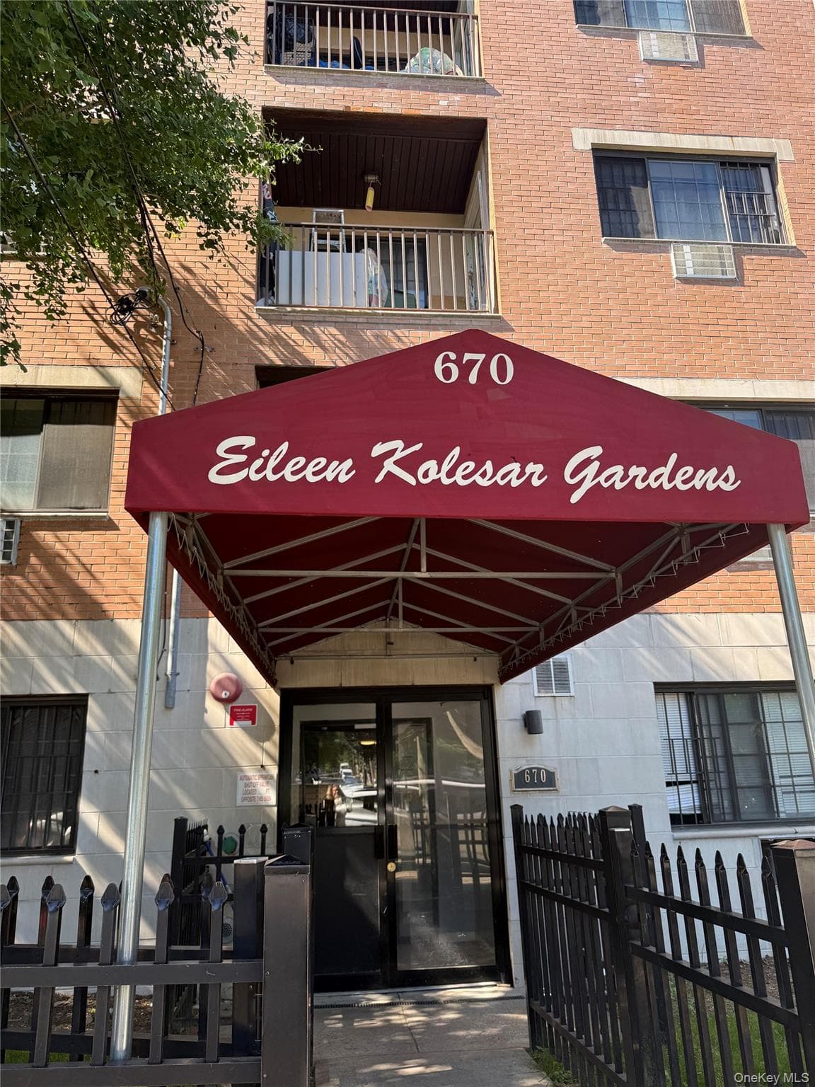 668 E 226th Street thumbnail 2