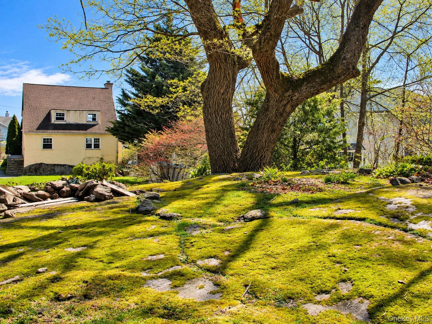 153 Highview Street thumbnail 3