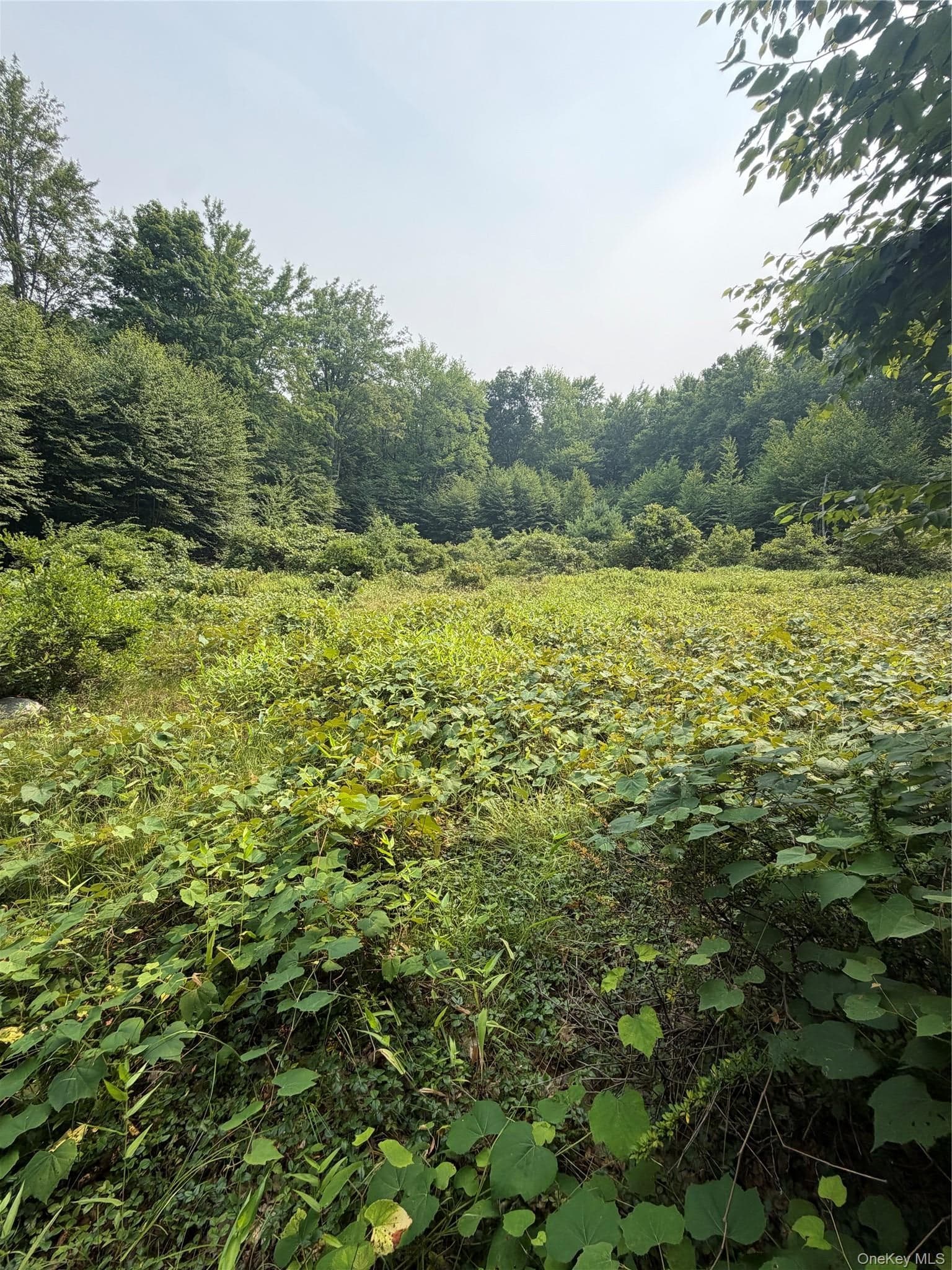 148 Quannacut Road thumbnail 35