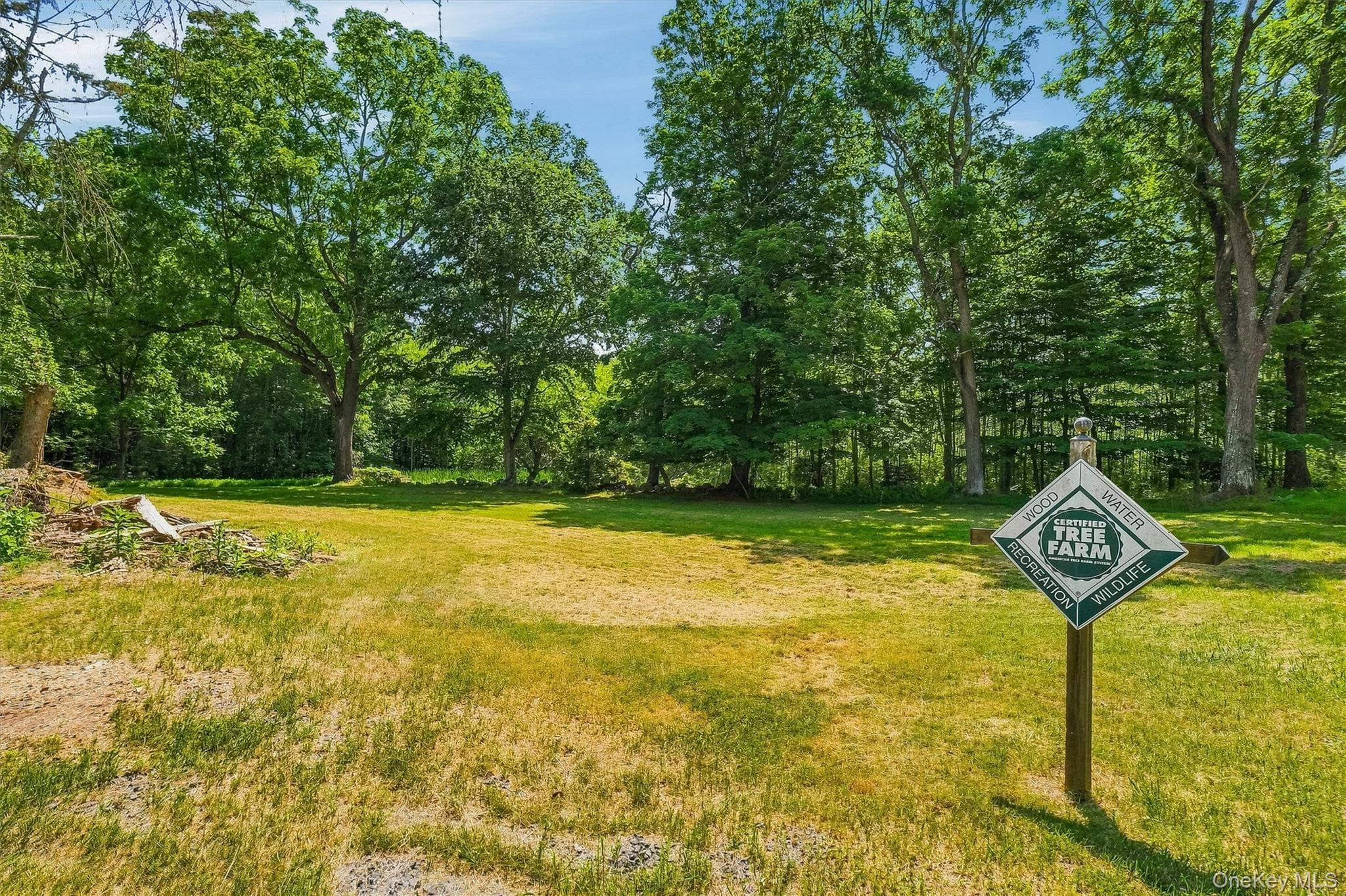 148 Quannacut Road thumbnail 19