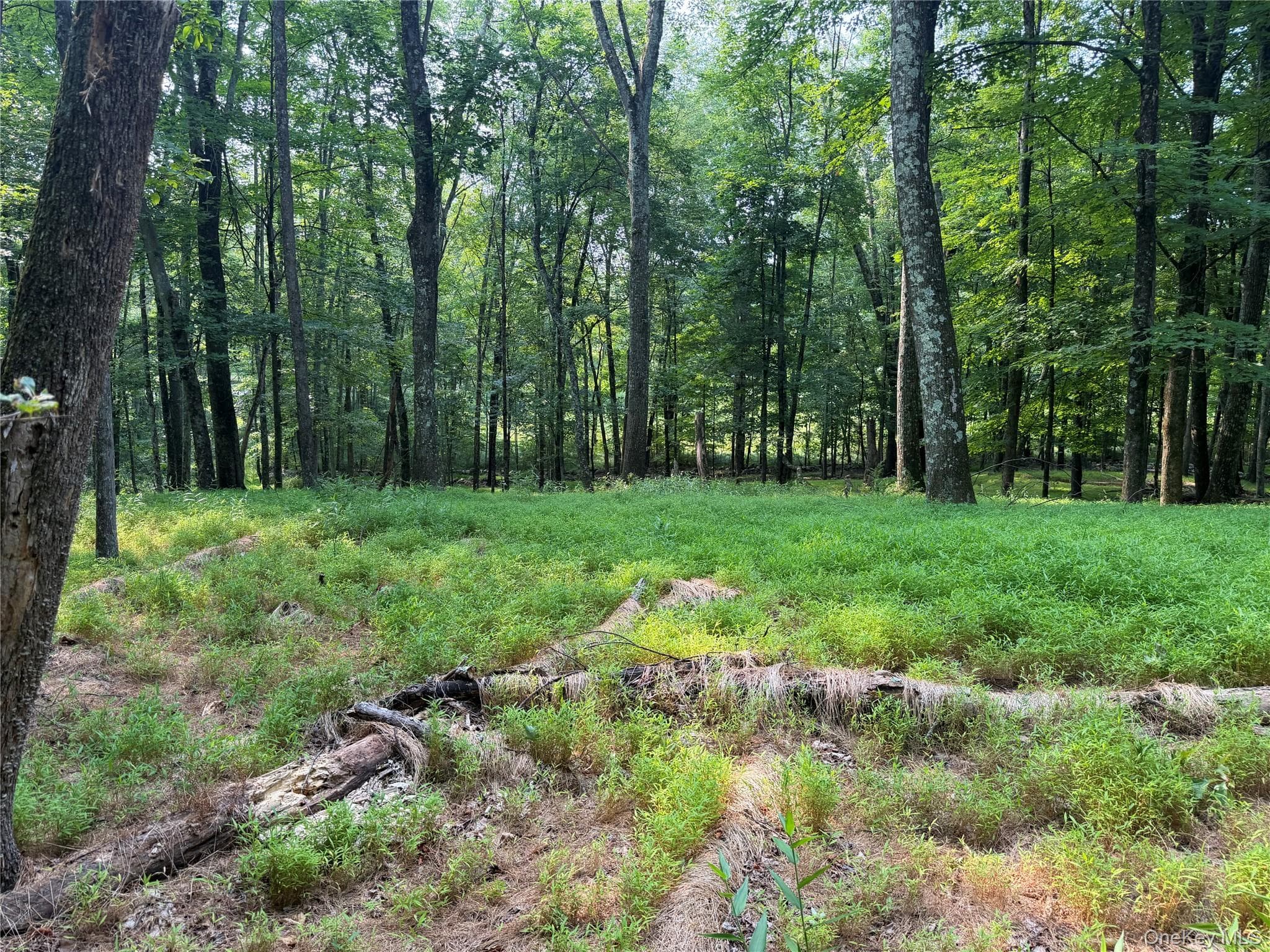 148 Quannacut Road thumbnail 34