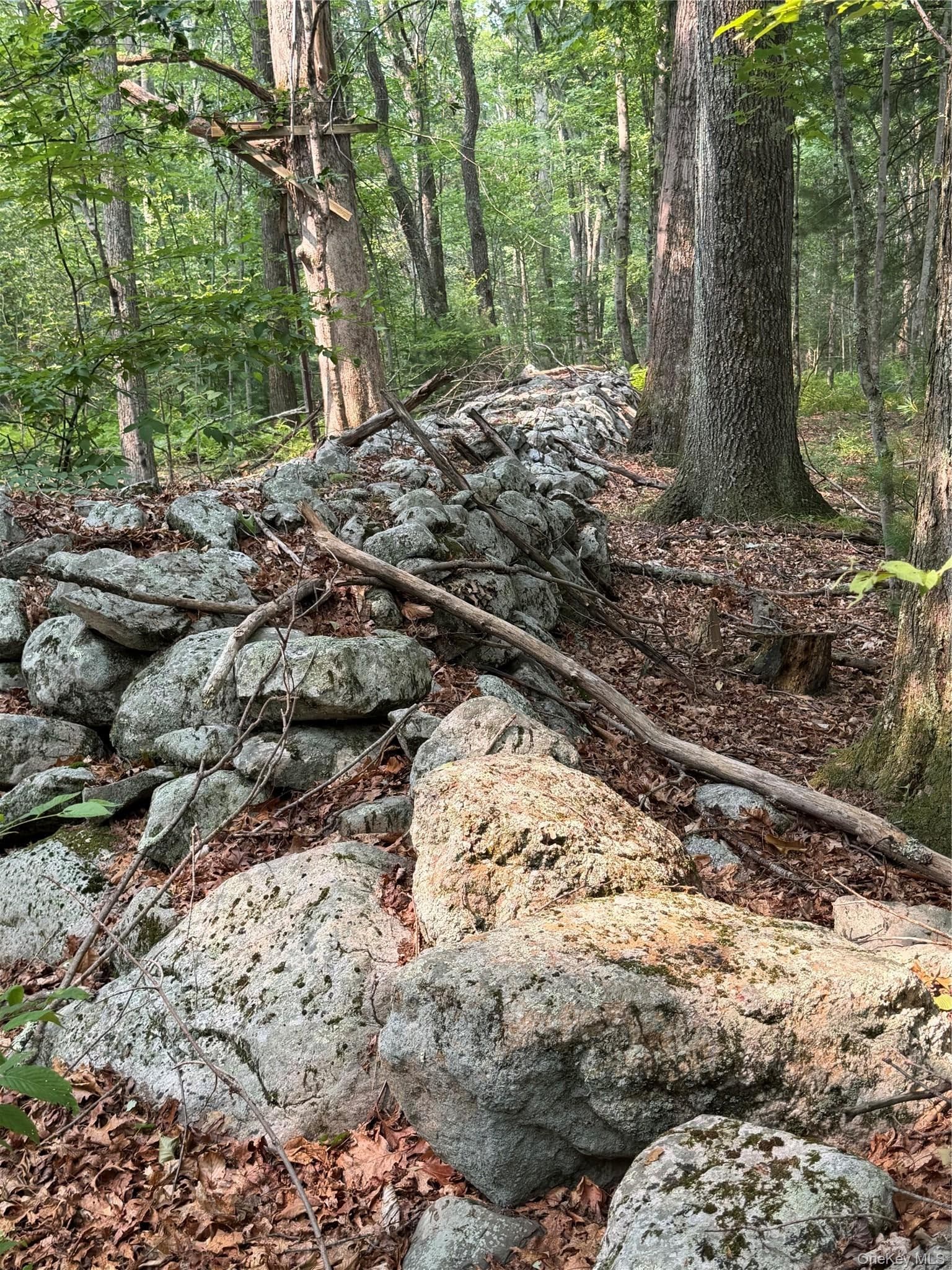 148 Quannacut Road thumbnail 36