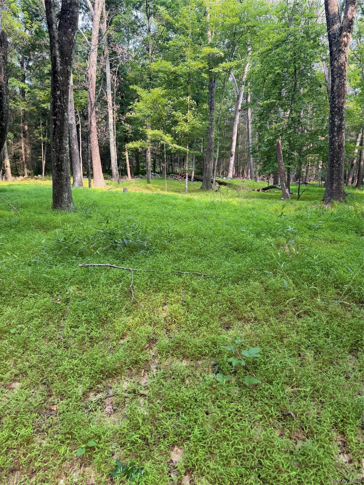 148 Quannacut Road thumbnail 8