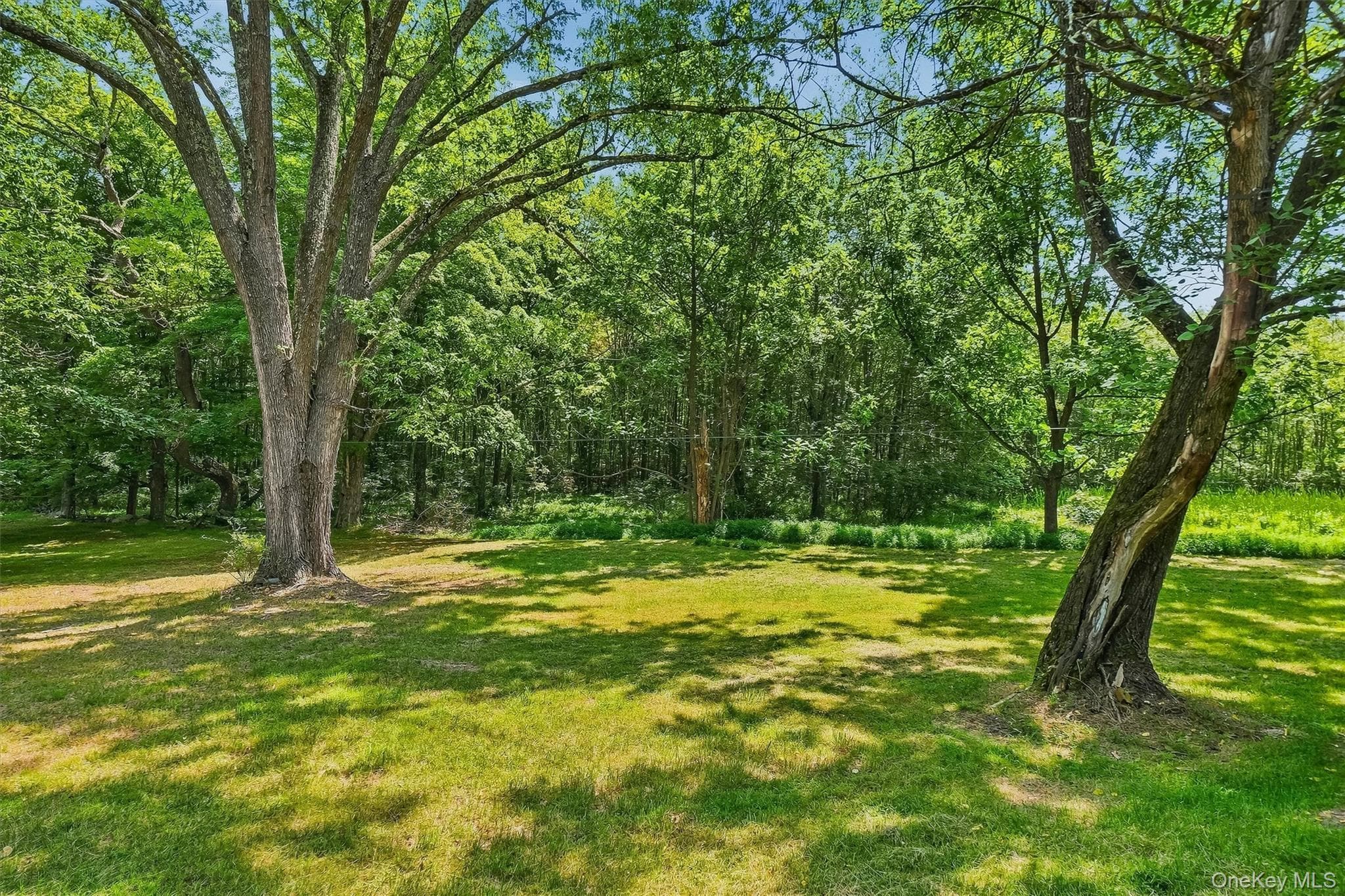 148 Quannacut Road thumbnail 31