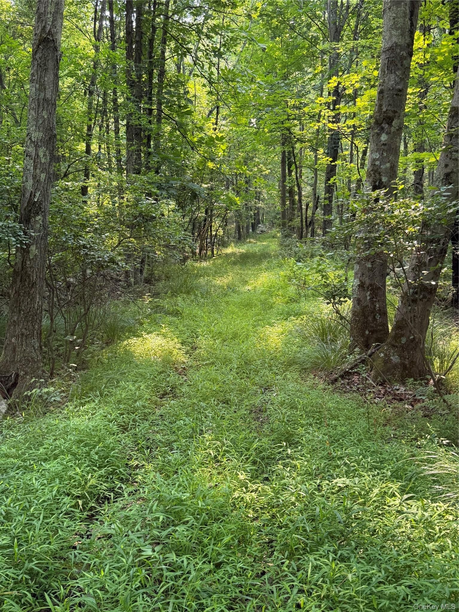 148 Quannacut Road thumbnail 37