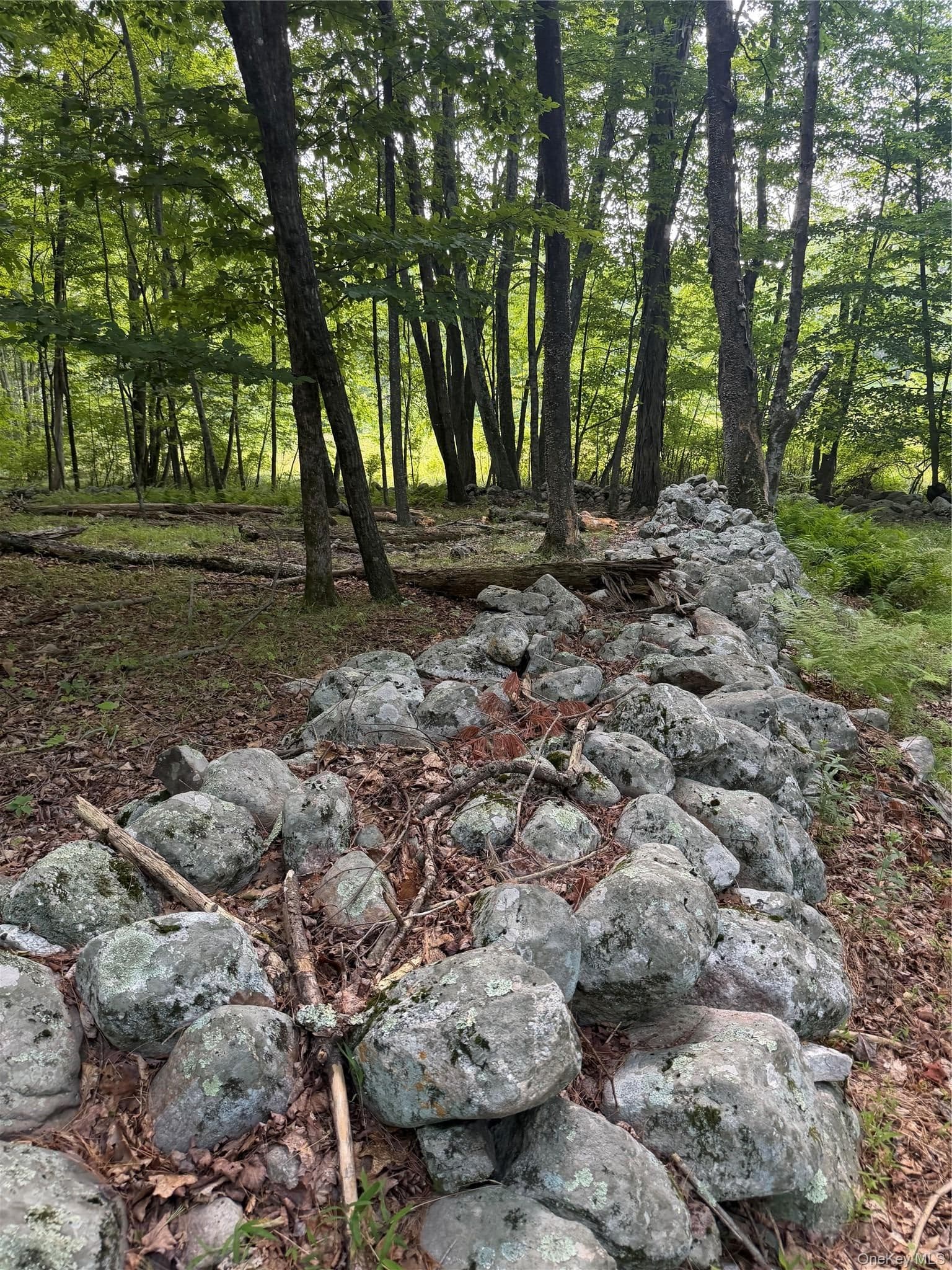 148 Quannacut Road thumbnail 9