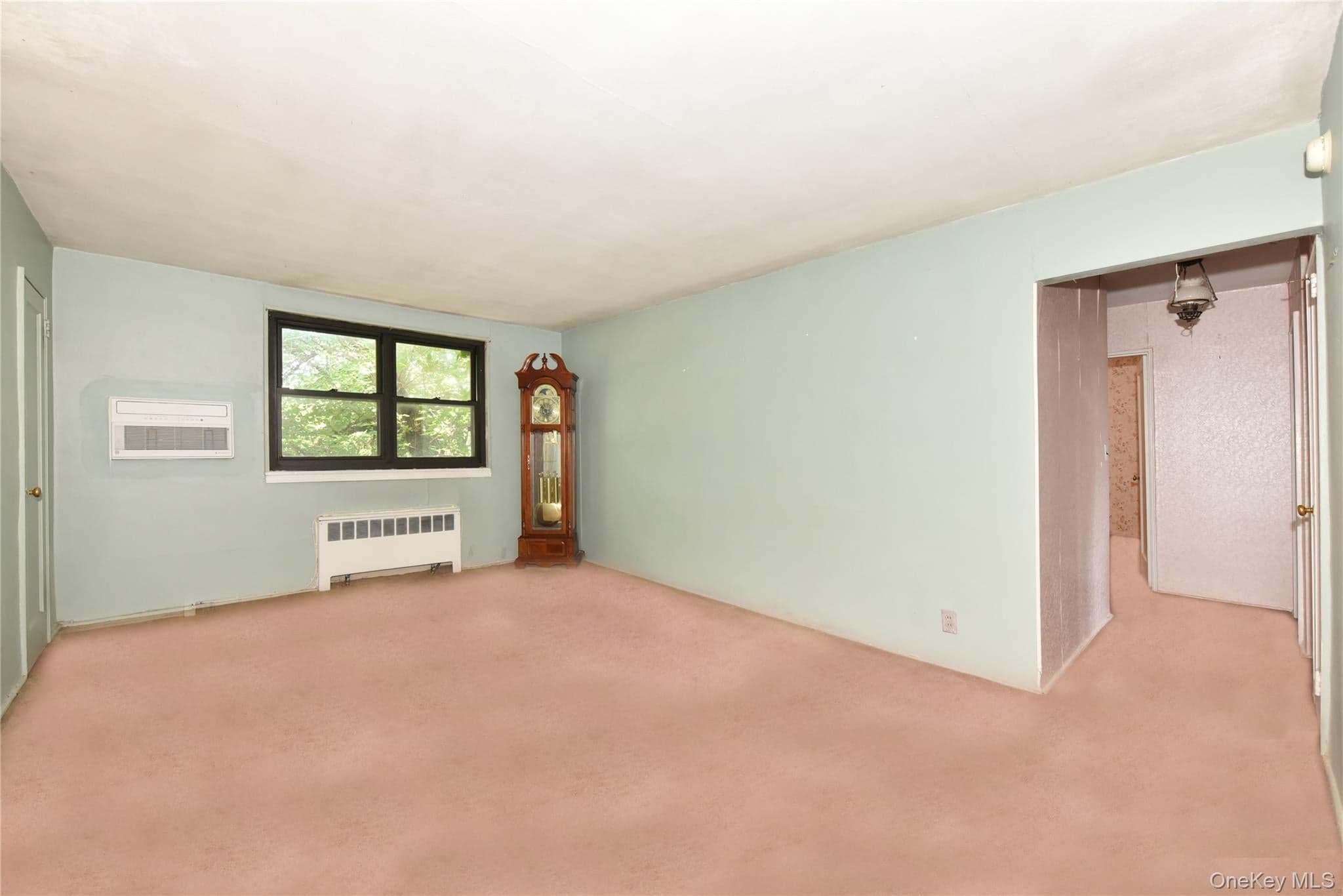 56-15 244 Street Unit: Upper thumbnail 5