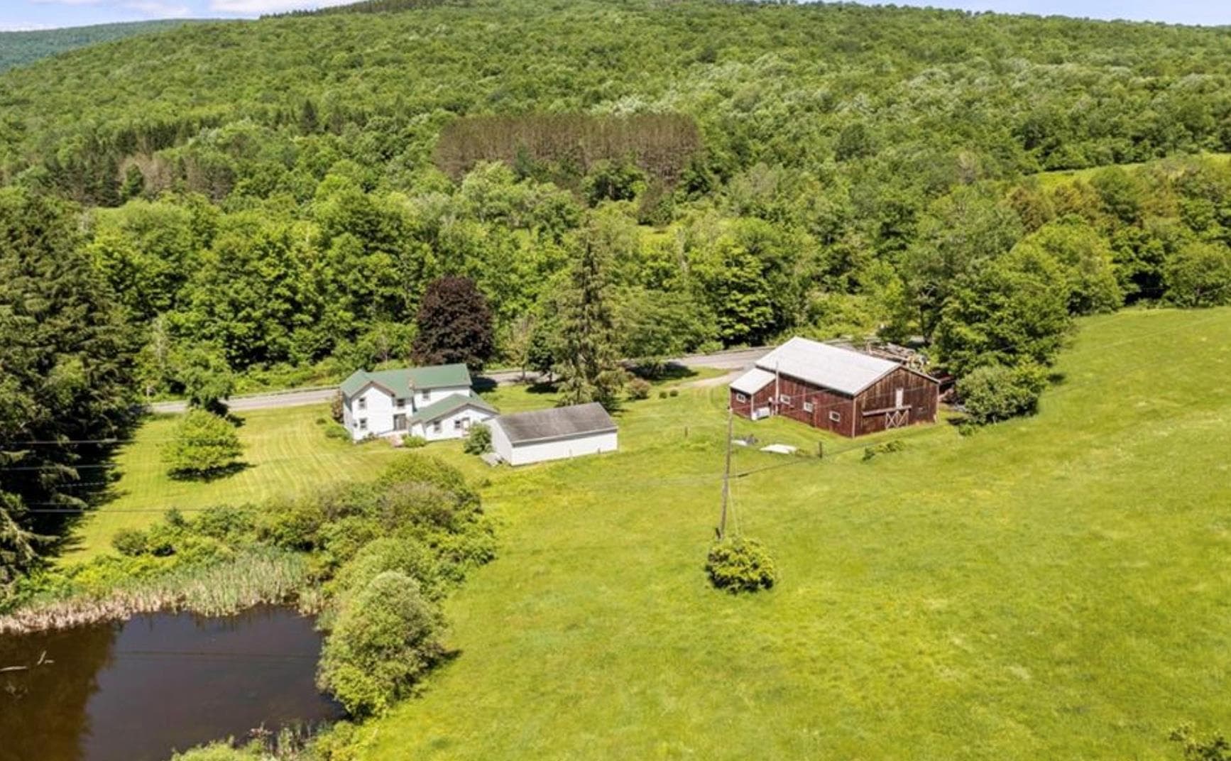 2018 Beaverkill Road thumbnail 7